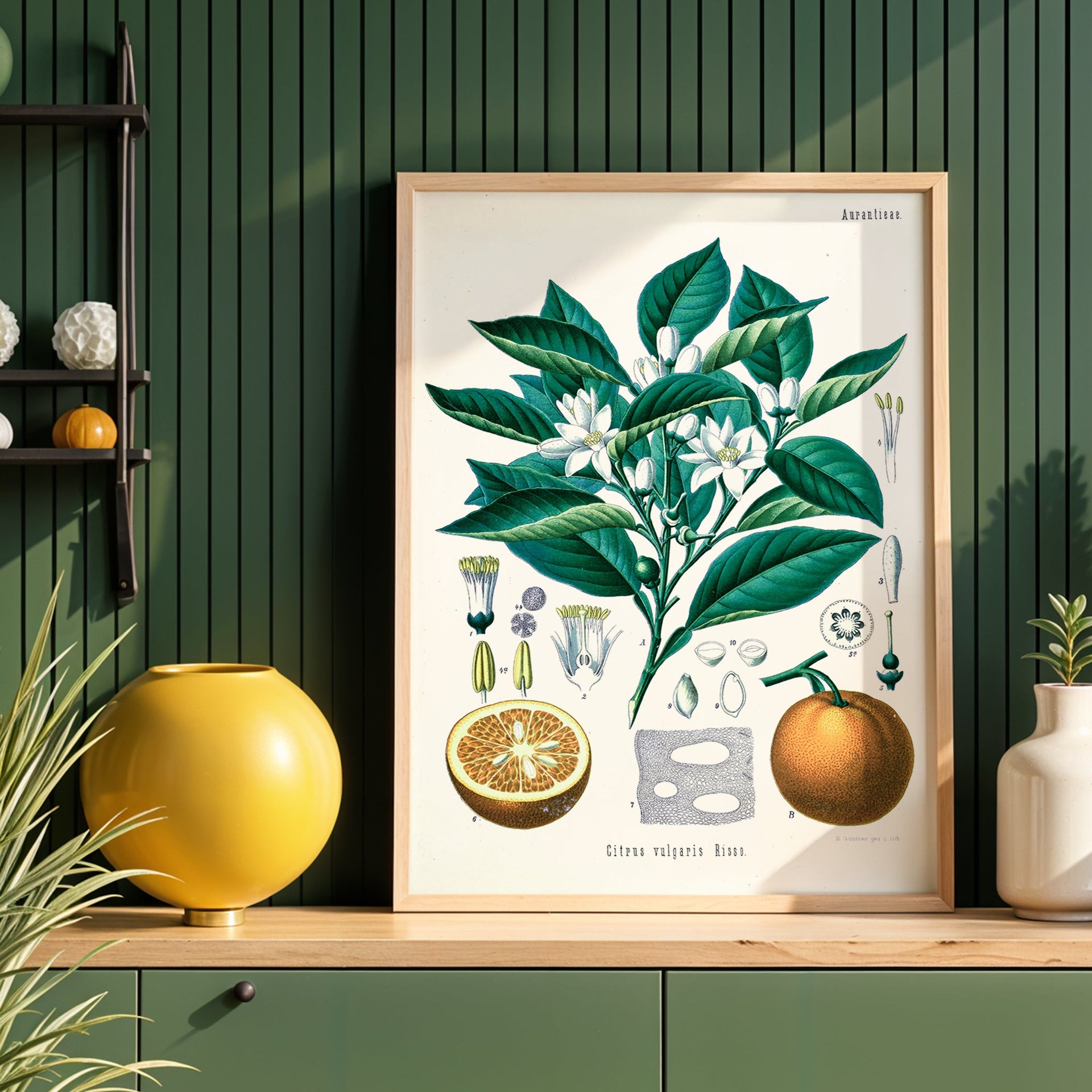 Botanical Wall Art That Makes Rooms Feel Finished