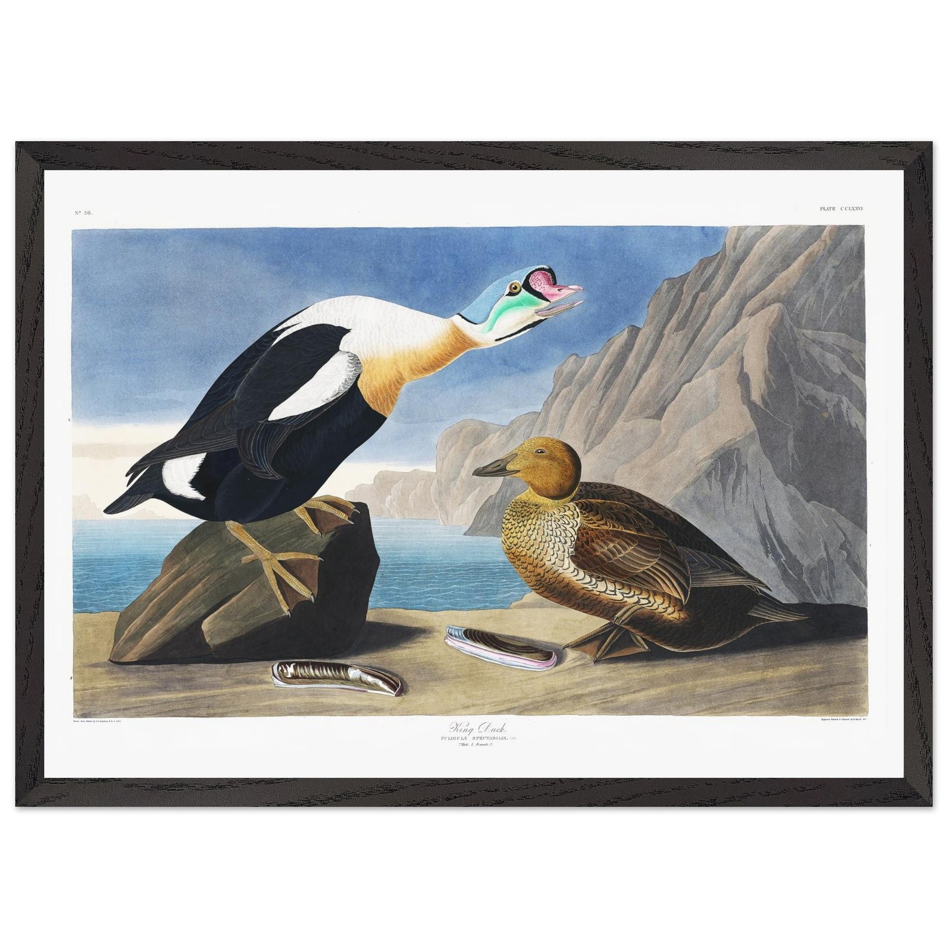 0594b533-48bb-4782-8f10-ccdde3278f34