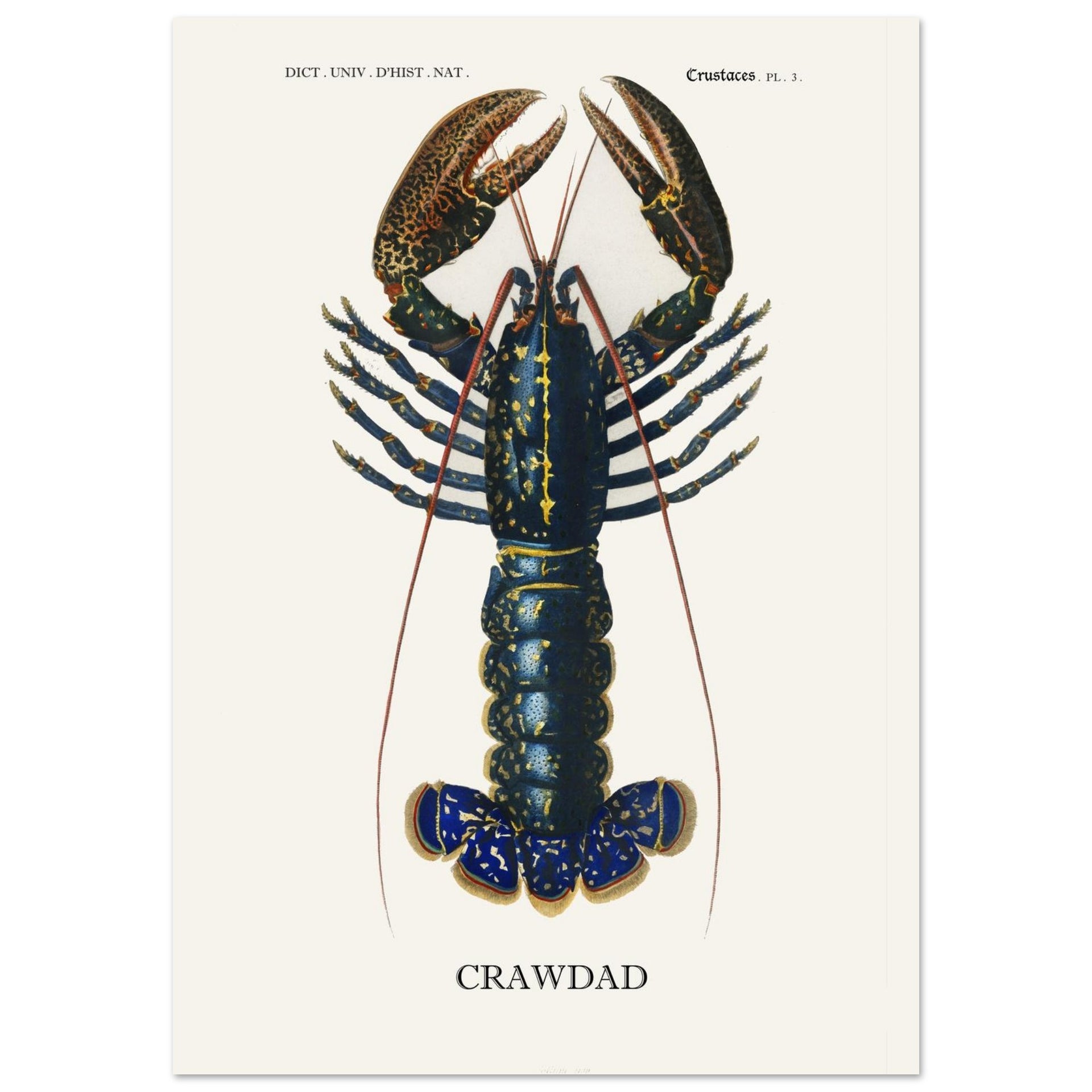 07925df3-4bb8-4c4c-8e4d-0feafdef54c3