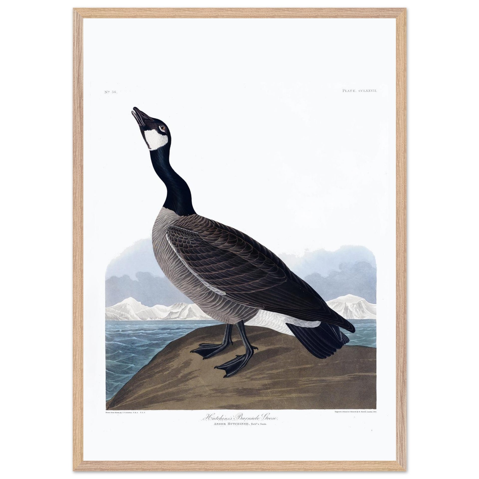 087939a6-bd31-4a58-8e05-2903fbcecc89