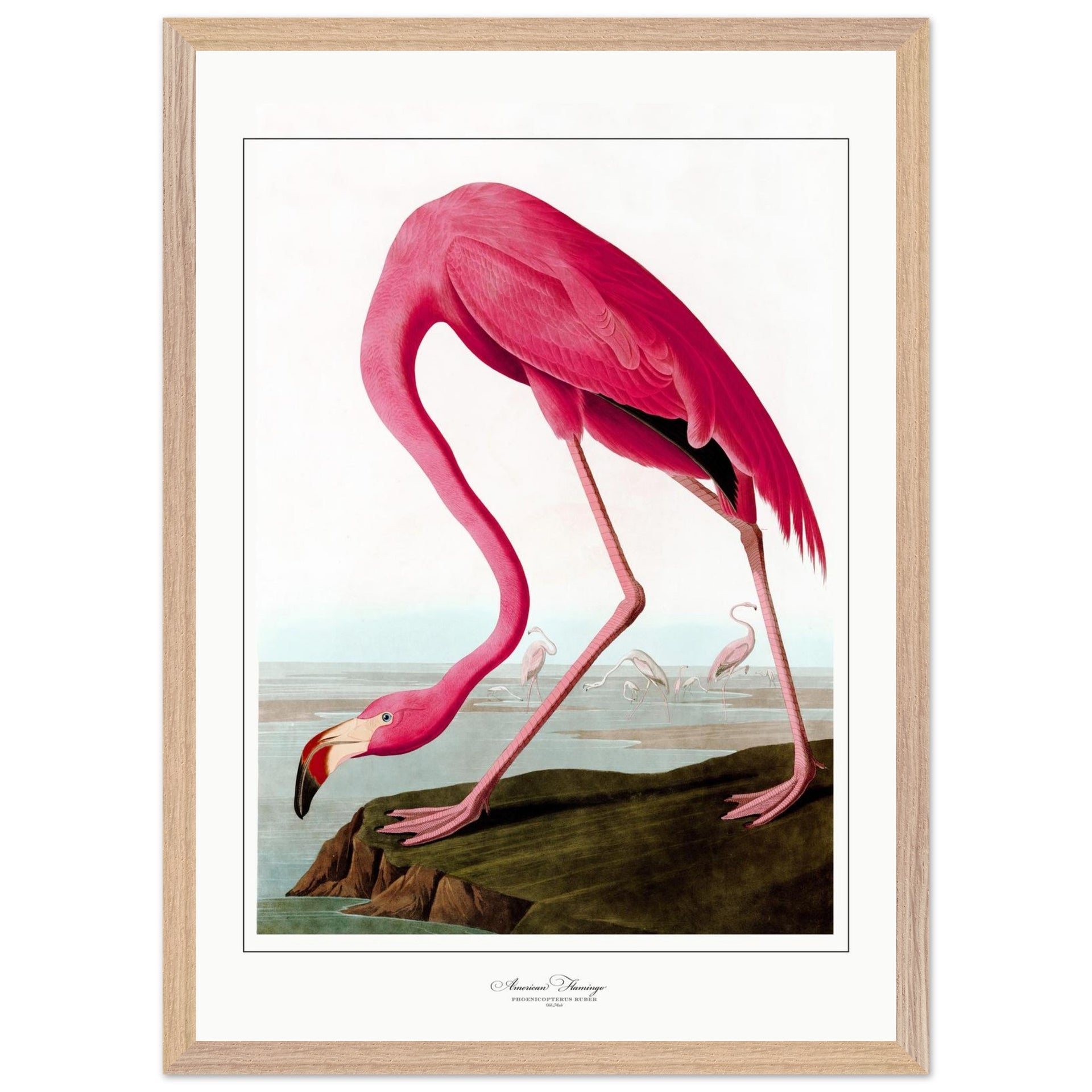 0f2fa0fa-bee0-49e1-b6e7-a666d6508c7f