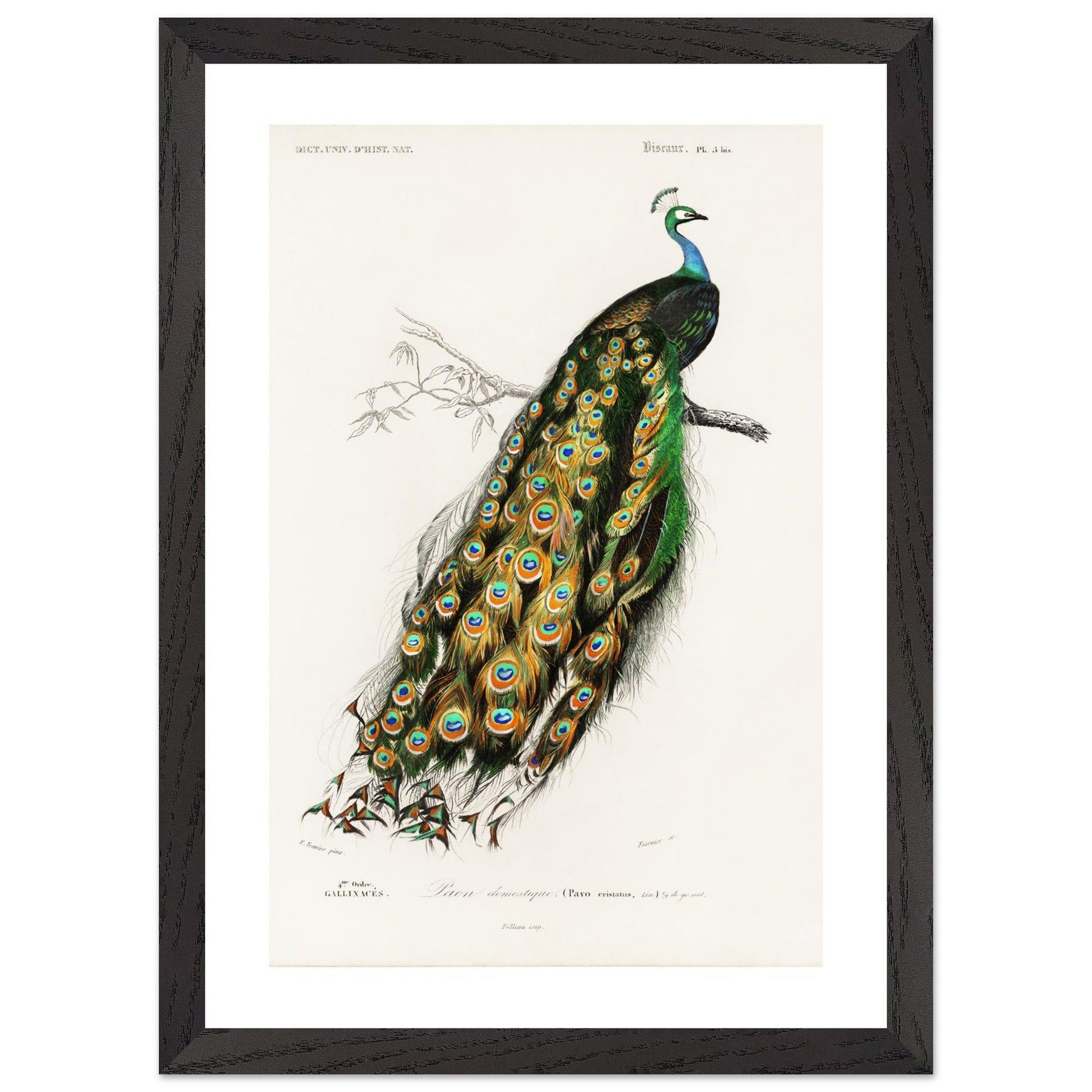 106d97b6-5382-42de-9735-67f89496edab