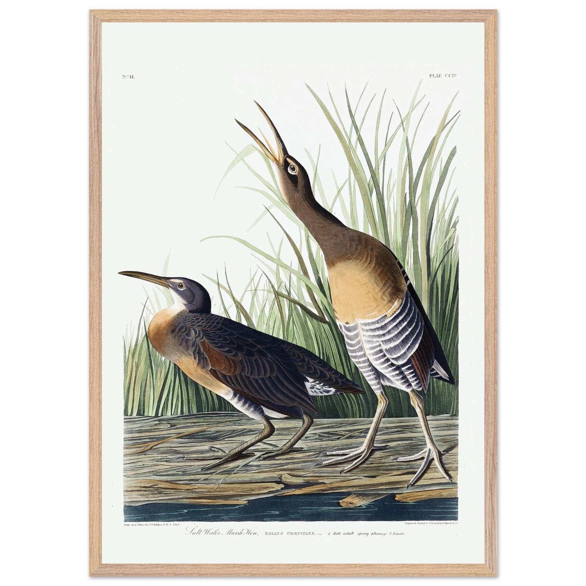 111e5e4b-6465-4f29-83a3-62733679a37b