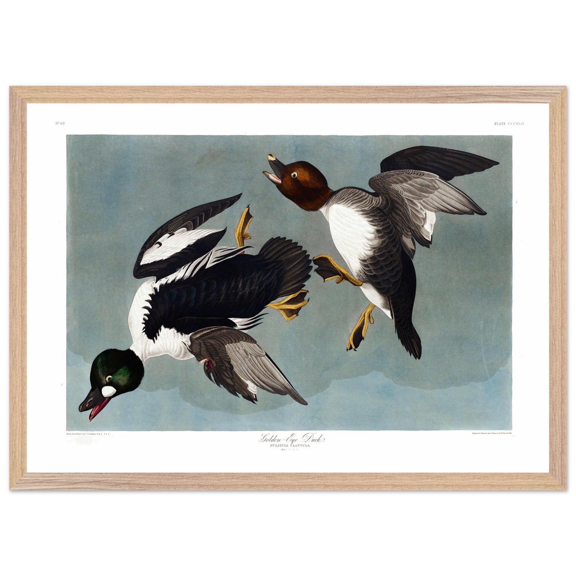 12c07e97-1f5f-4299-95dc-78e2b003eff4