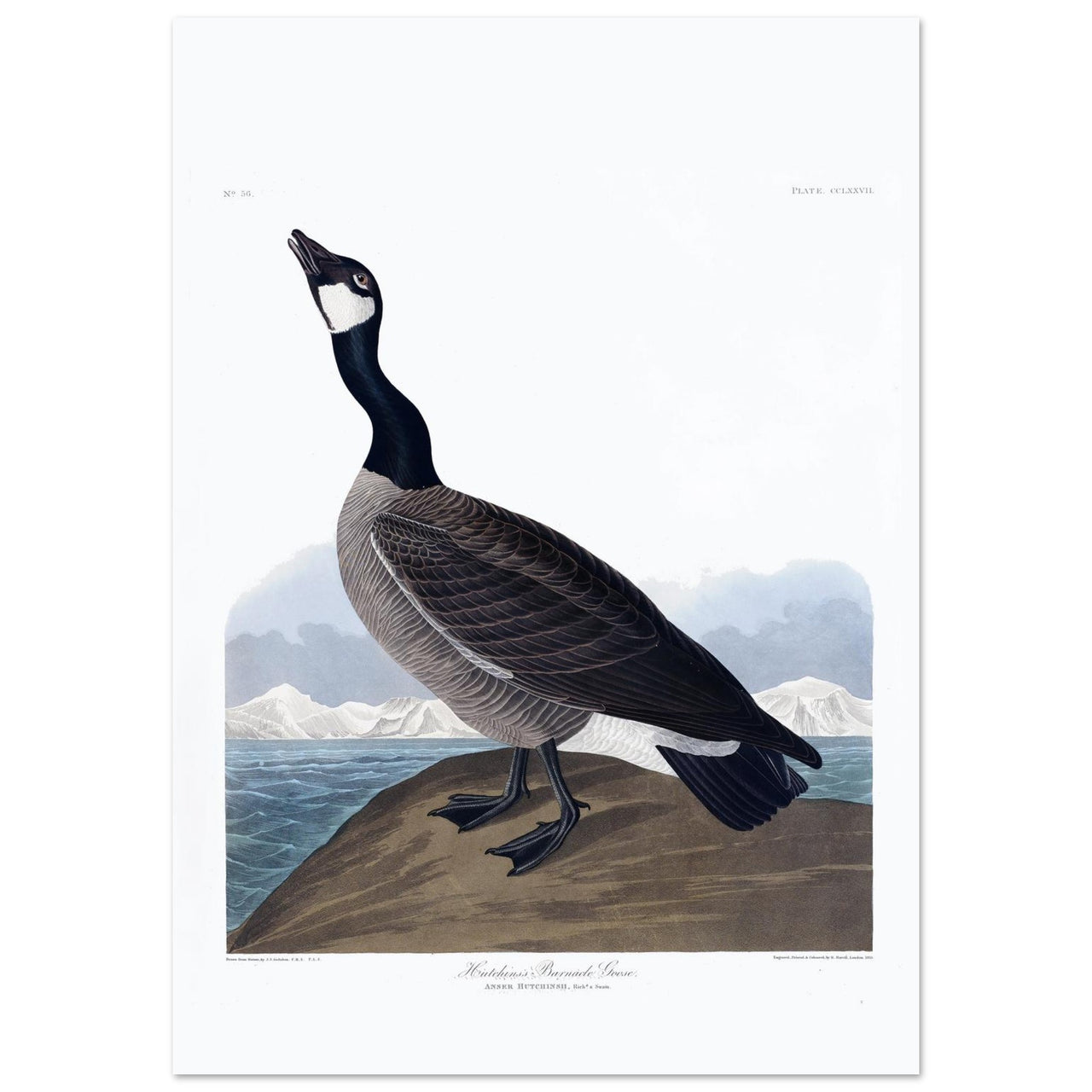 13644f13-1b6c-43b2-9bf7-524dc4c6facf