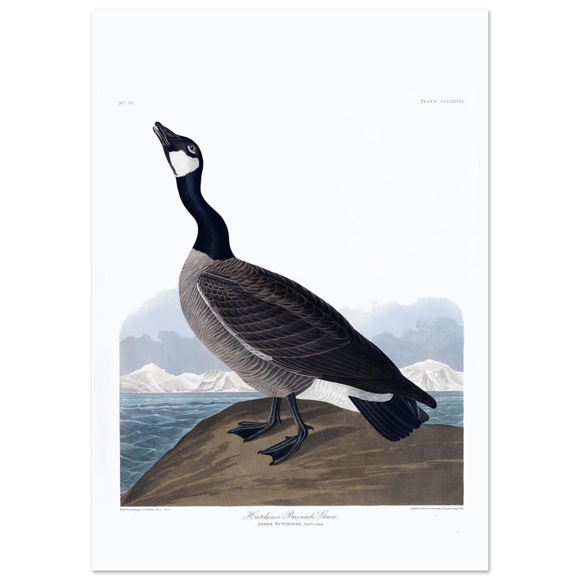 13644f13-1b6c-43b2-9bf7-524dc4c6facf