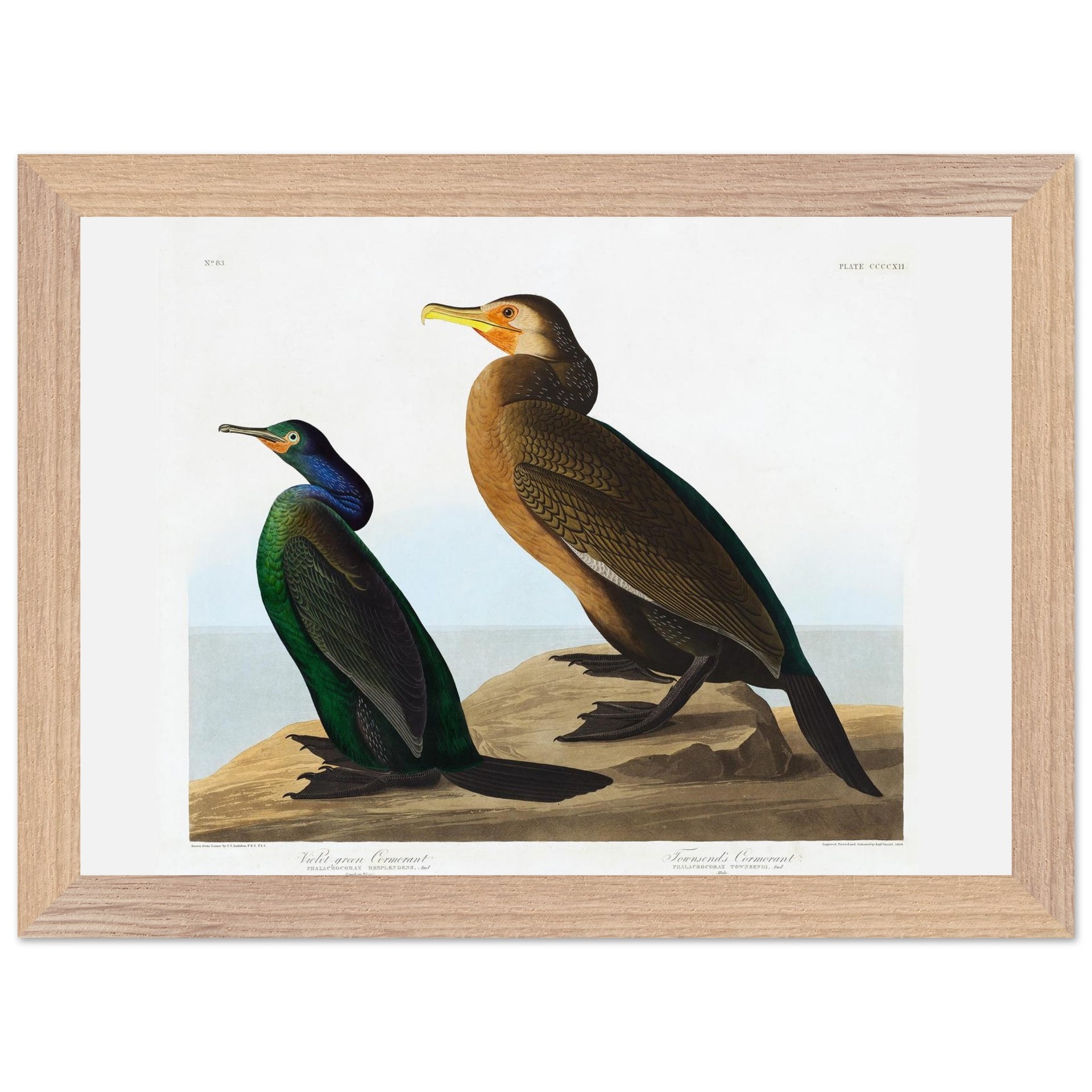 162f9652-fe16-44c4-afda-a536b2e3e657