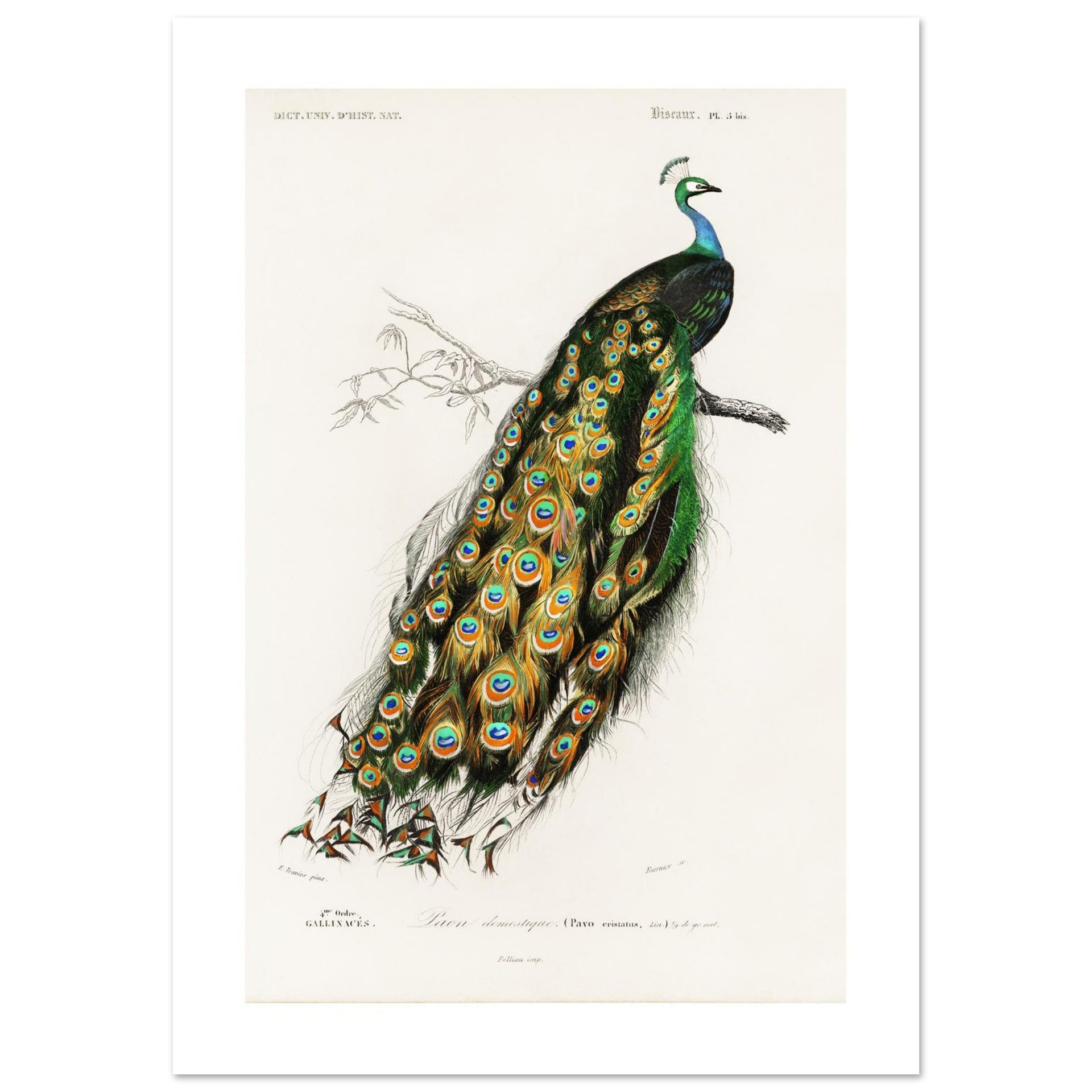 1733771c-4cf5-4d3a-b358-38f6822d3add