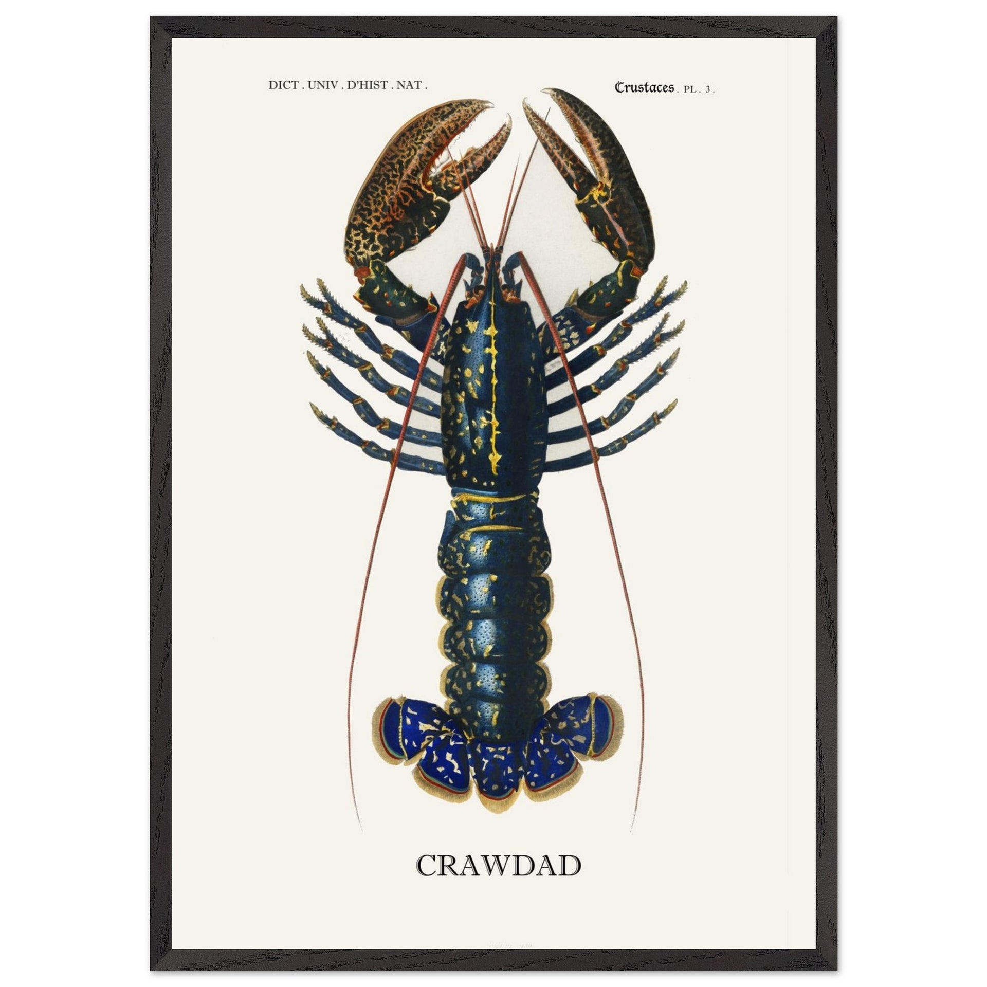 205ed7ef-a119-4f4c-a12c-bda441378837