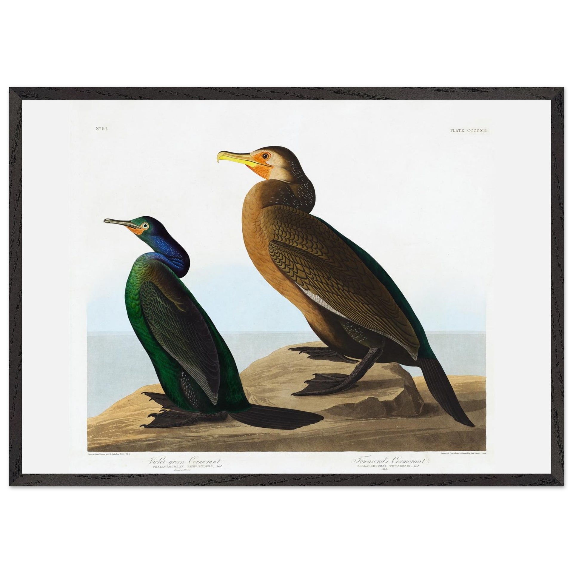 23811ca9-7ba2-4e8c-8e15-3b53ba6fc2aa