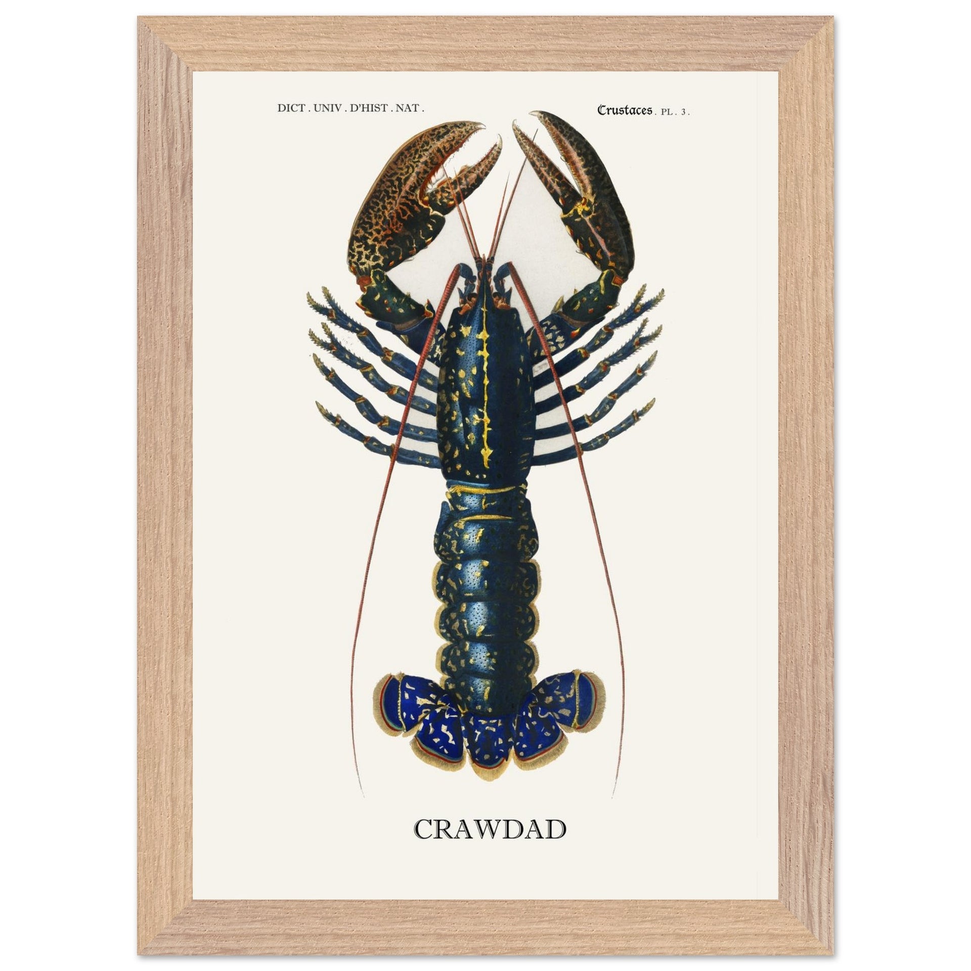 26b5bd16-2236-4deb-a24f-59ccb63b5b81