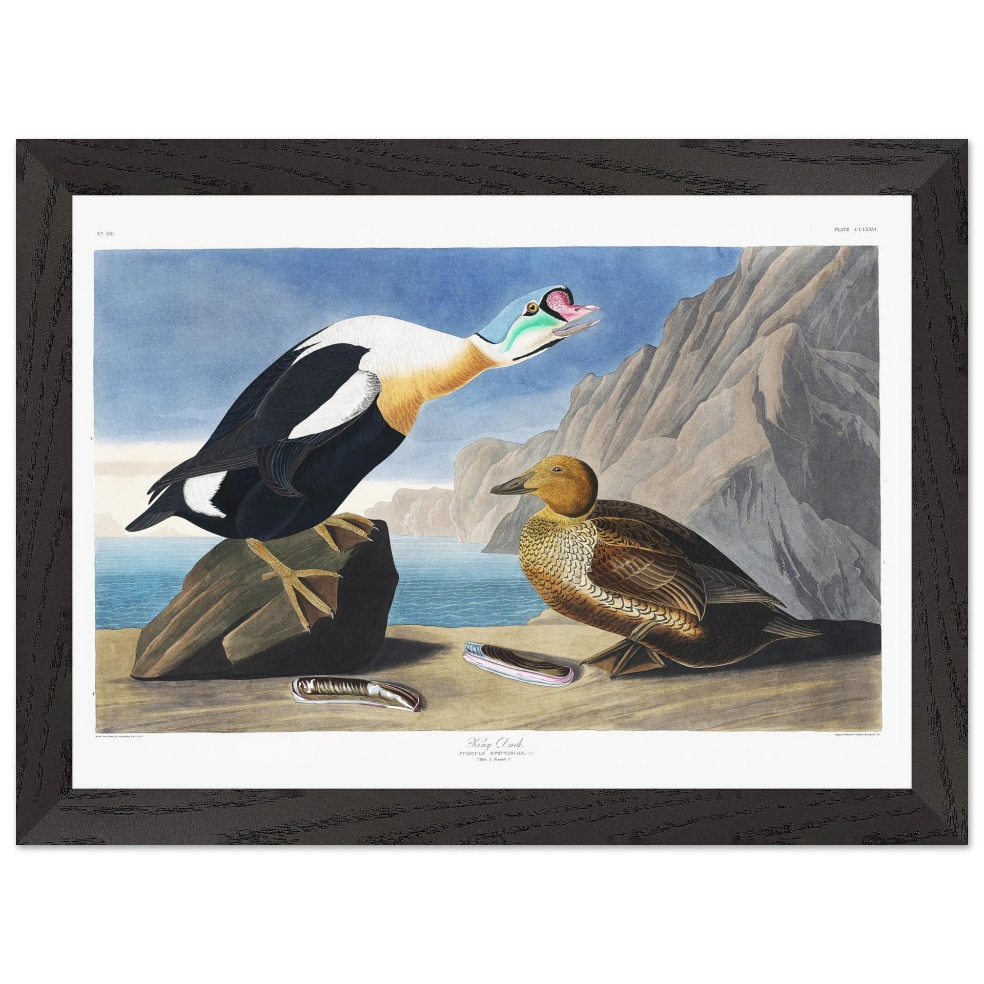 29fac4e5-edb3-4528-a33b-55f904fd5e5f