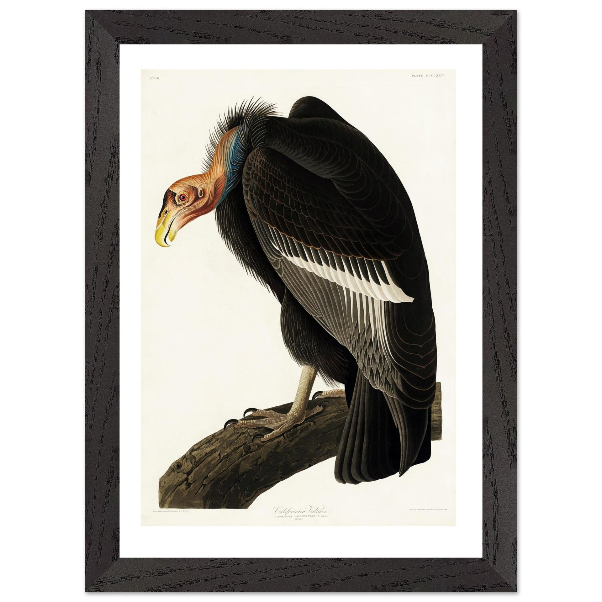 2d2532e8-adc7-4bf5-be28-d7bbcdd5f1d4