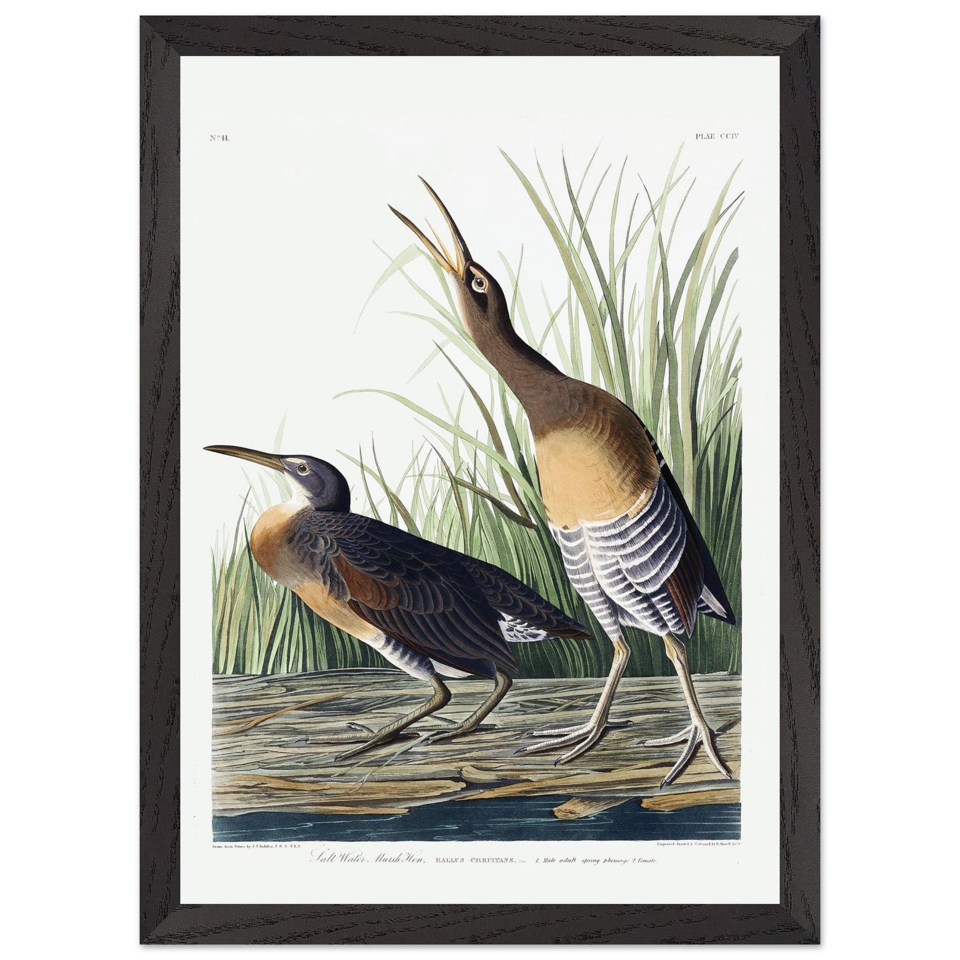 34f4639d-711a-4cd0-9169-9367294dd6bd