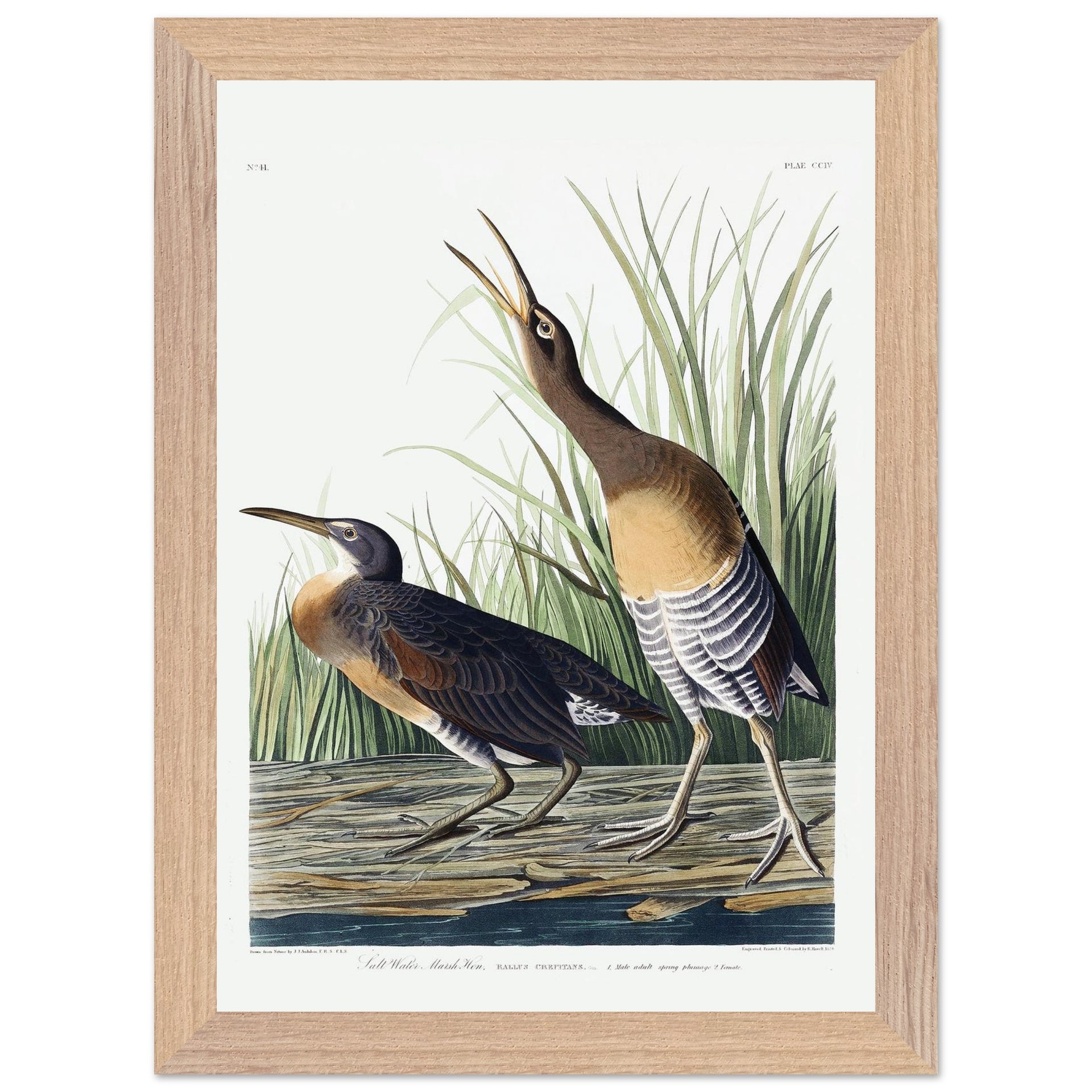 37e060a7-18b1-4b73-b633-2801cbeae888