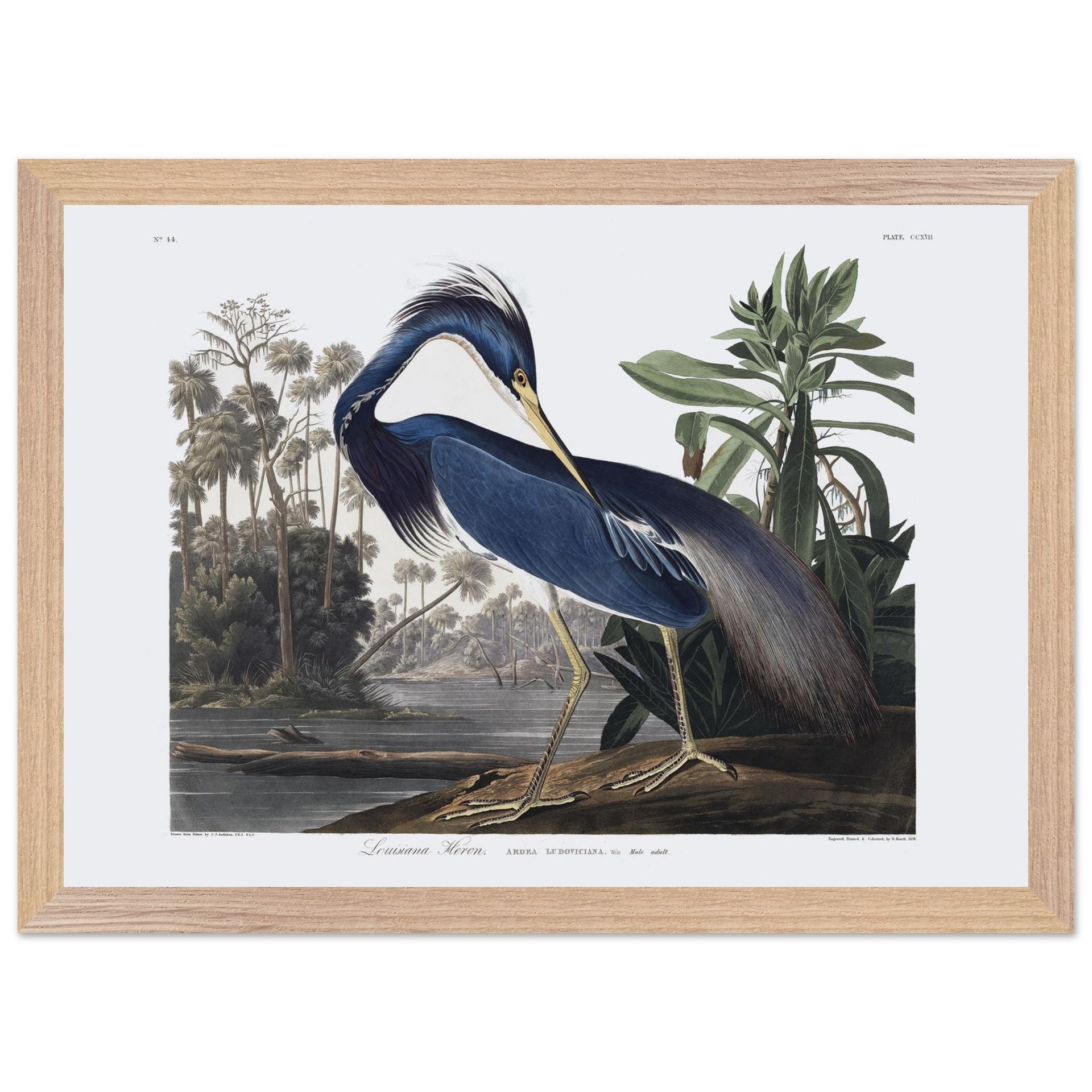 3f9e8dc6-fe88-4759-a09f-662d2c899ae9