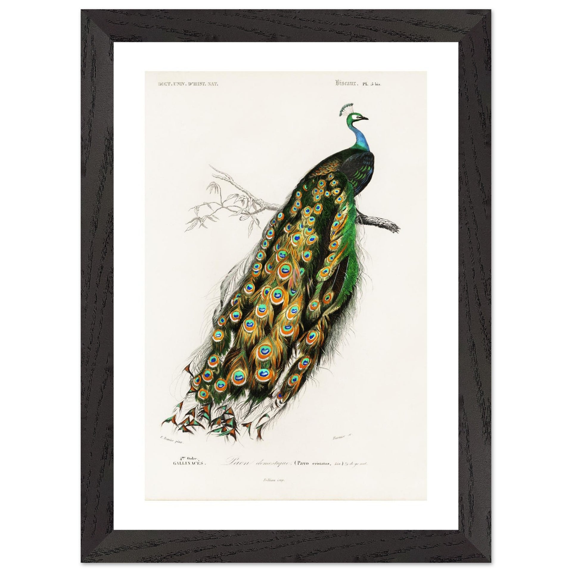 4697aa9b-812e-4ed5-ac51-51067d85cf18