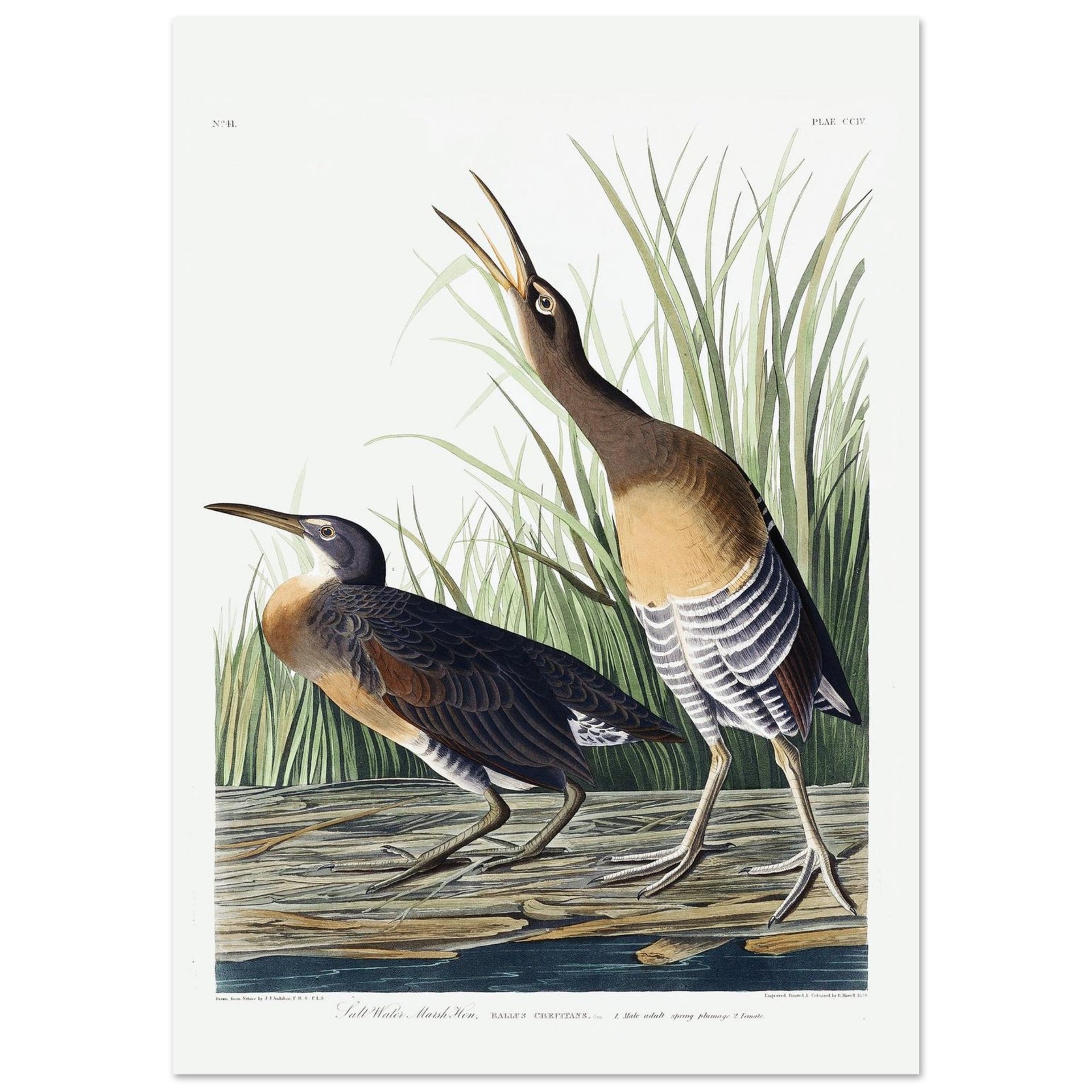 4ac2de0c-4bfd-414a-8aa2-31e378004029