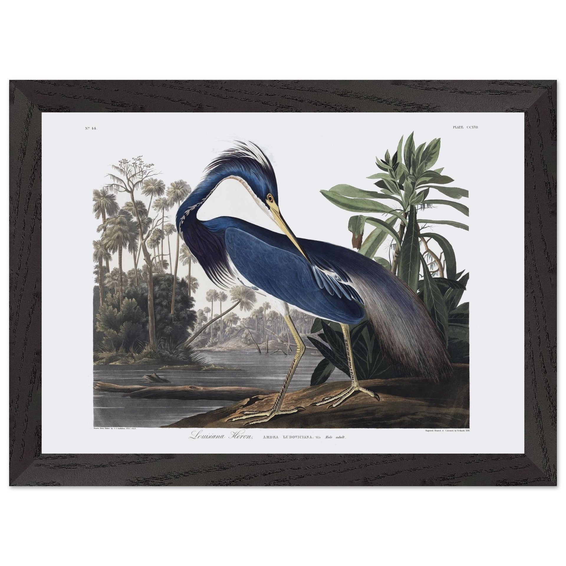 505f94de-3169-4f3f-b343-3b46c36e5496