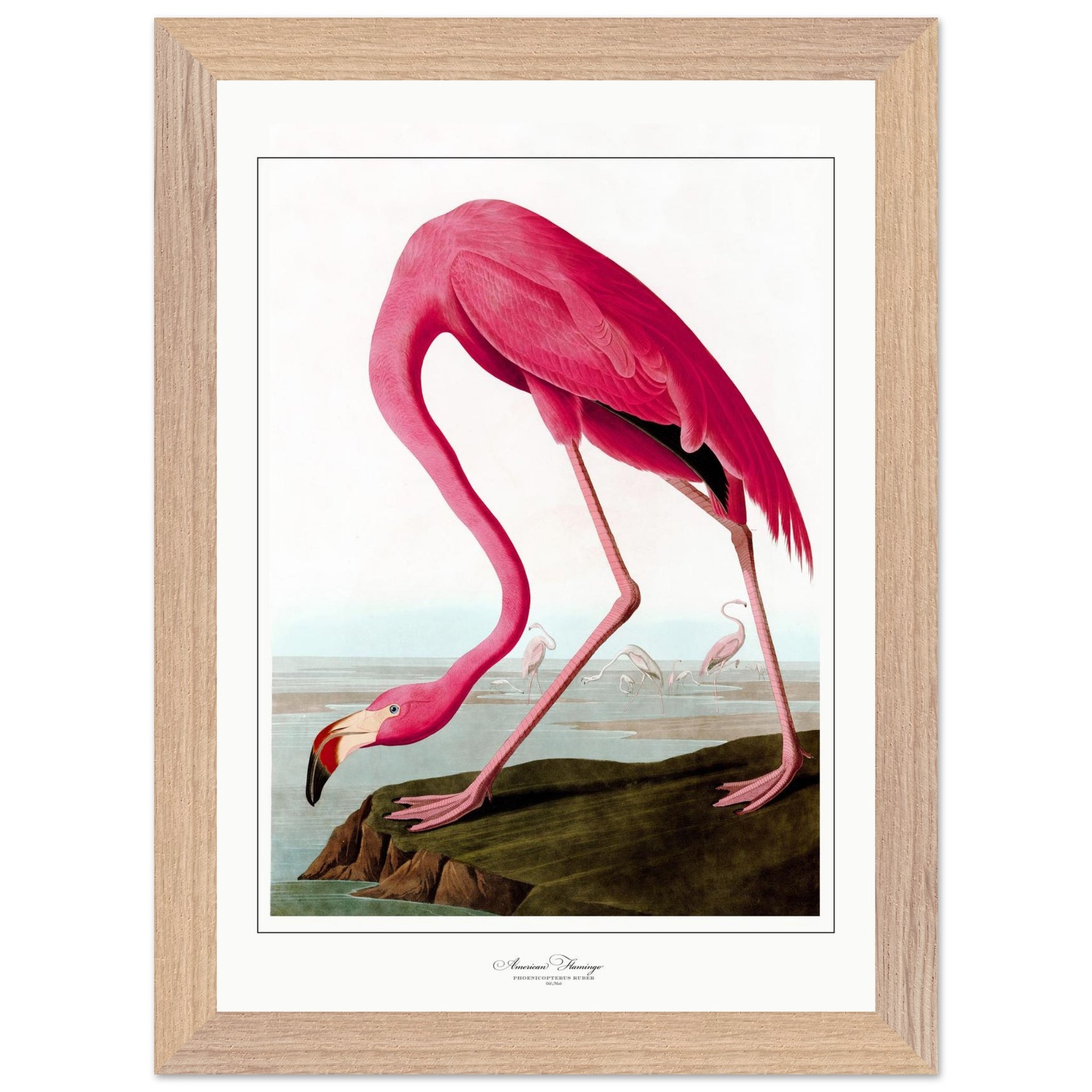 57382a62-5c4c-4eb1-8f17-f2fb16060174