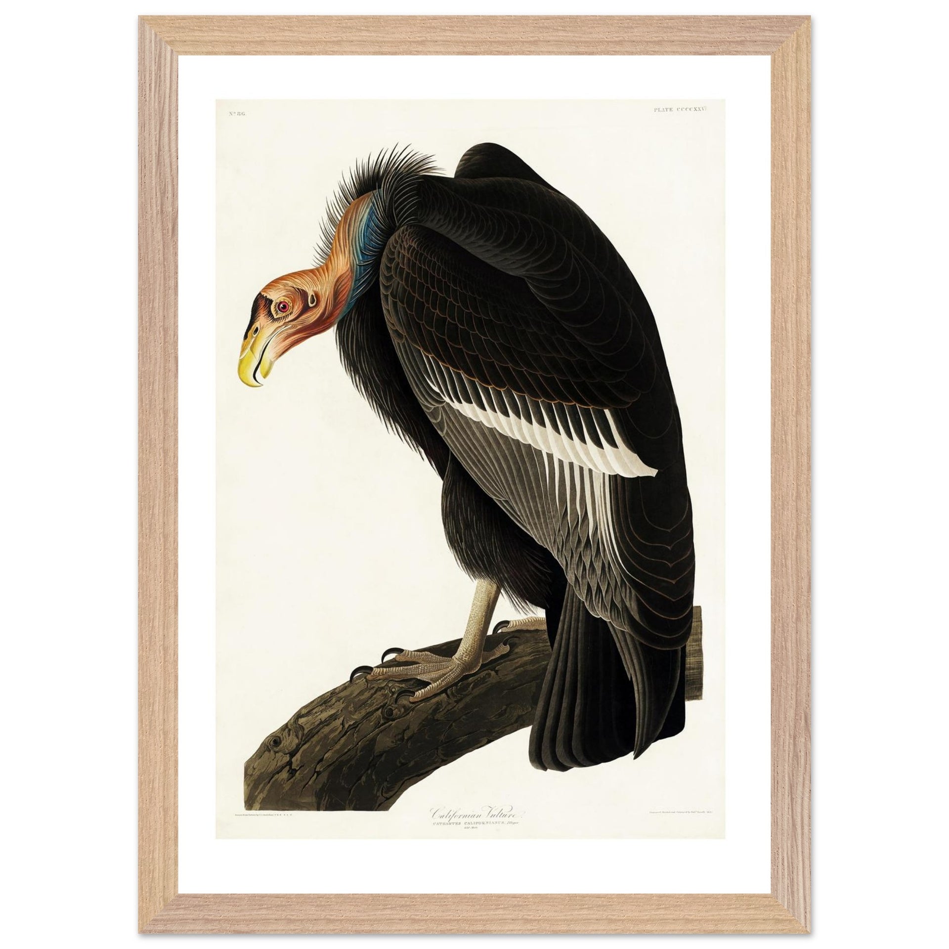 5f3b9c48-d98a-46f6-8e65-dba48fcc4e66