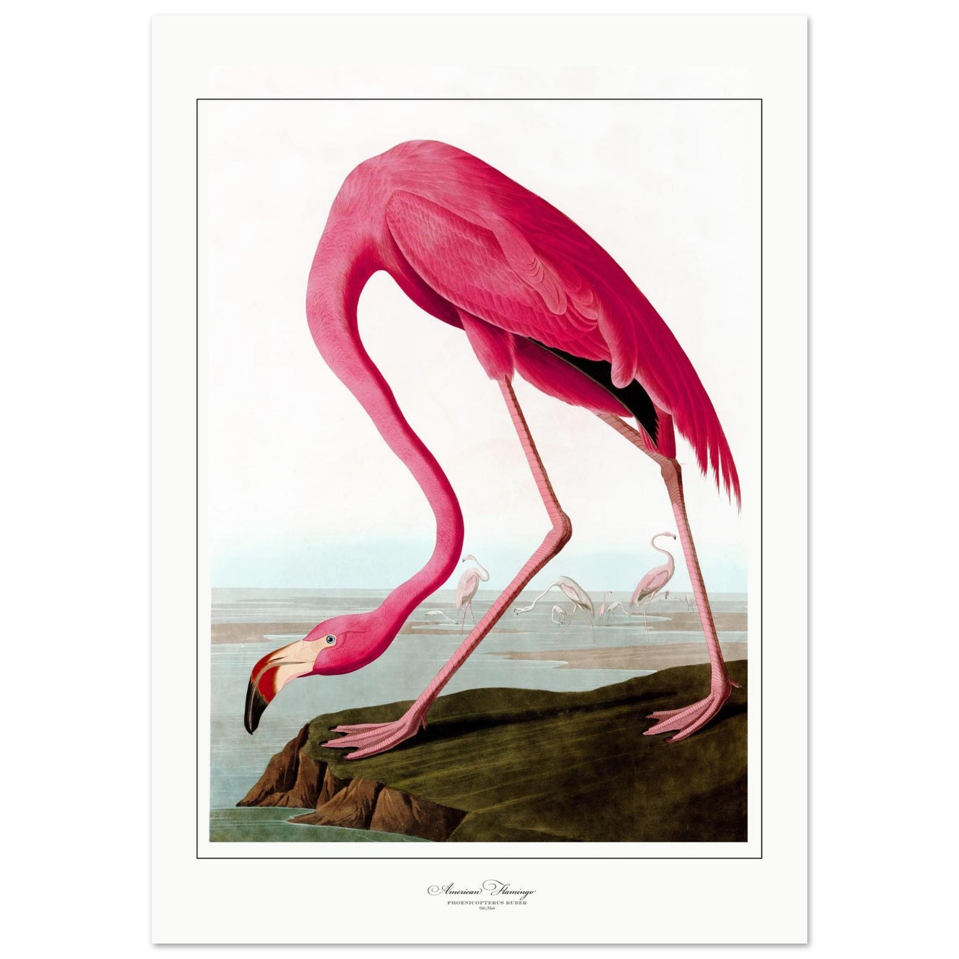 66ad0882-d860-4221-afdc-99ca96f70664