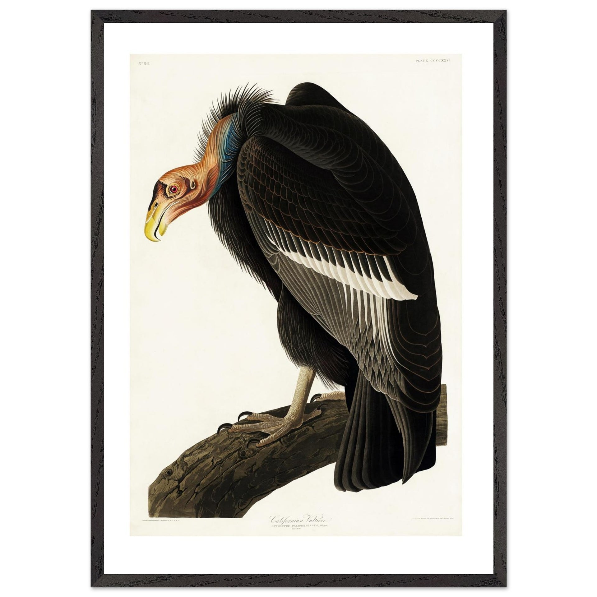 67d4cc0b-1f09-4fa8-ba16-ccf563b184b7