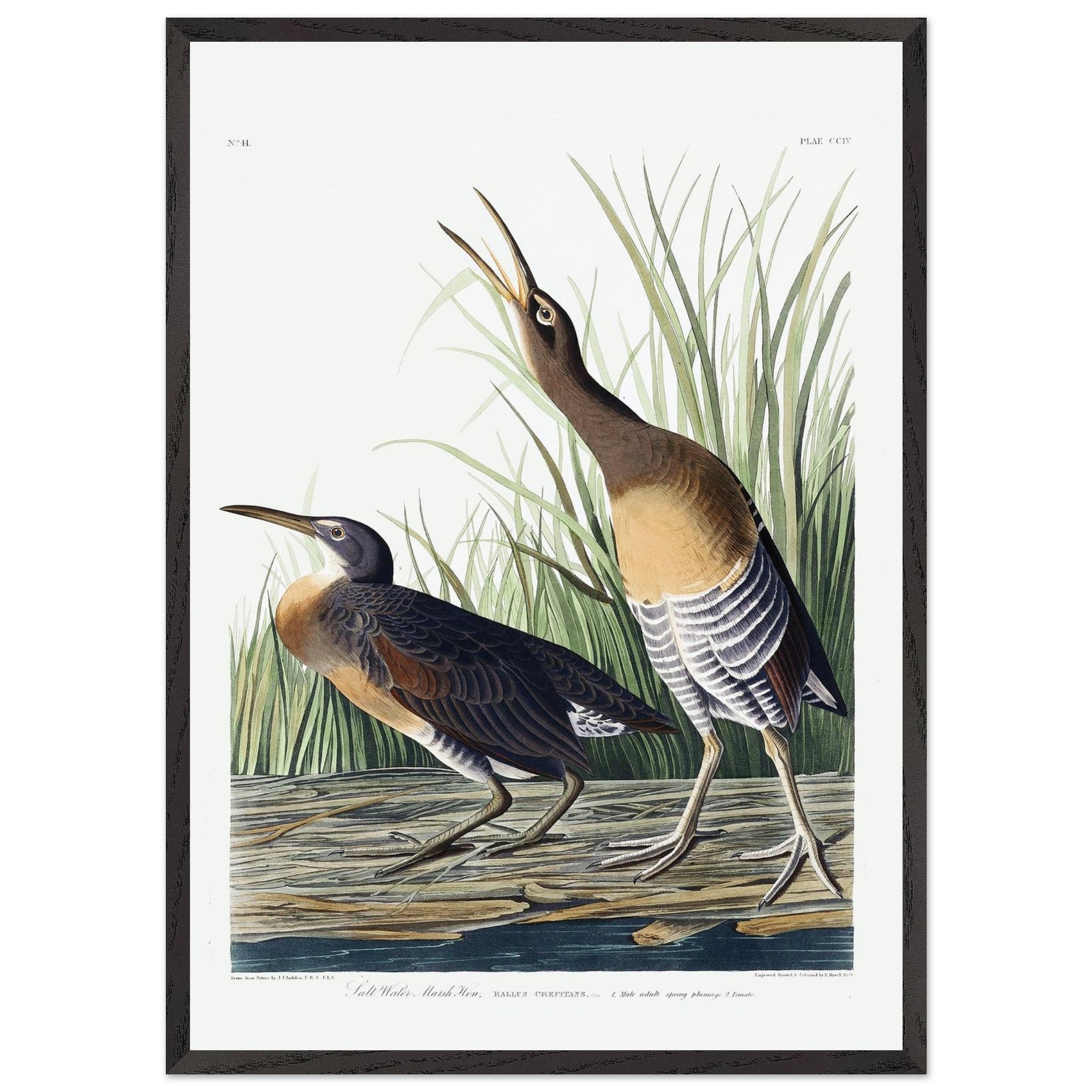 6accbf88-a4a2-417b-ac73-2bb7f2c33757