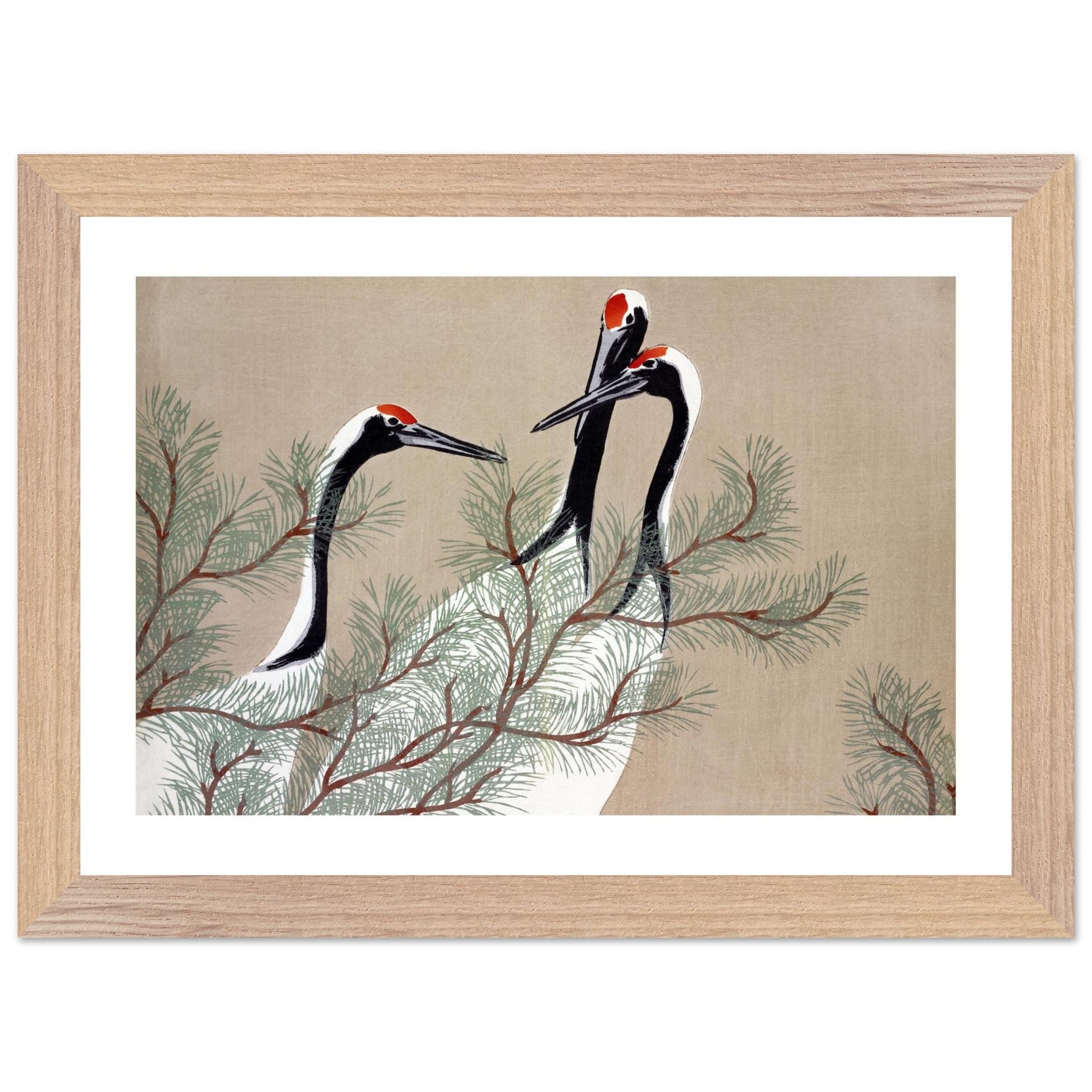 703dca84-ce89-4be5-98d8-ca6c4db696a4