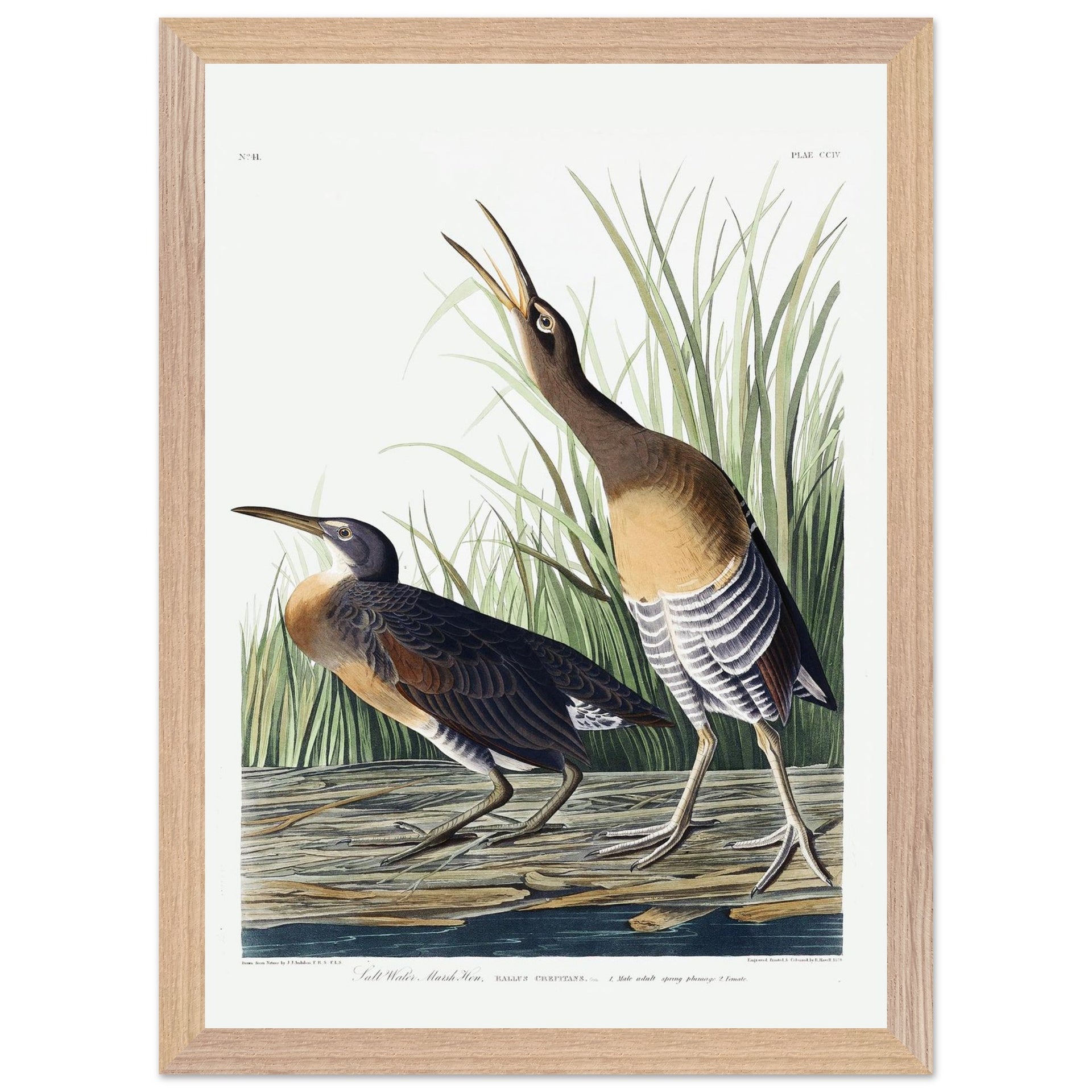 80df9e5e-f246-45cf-8e4d-6c89003a9951