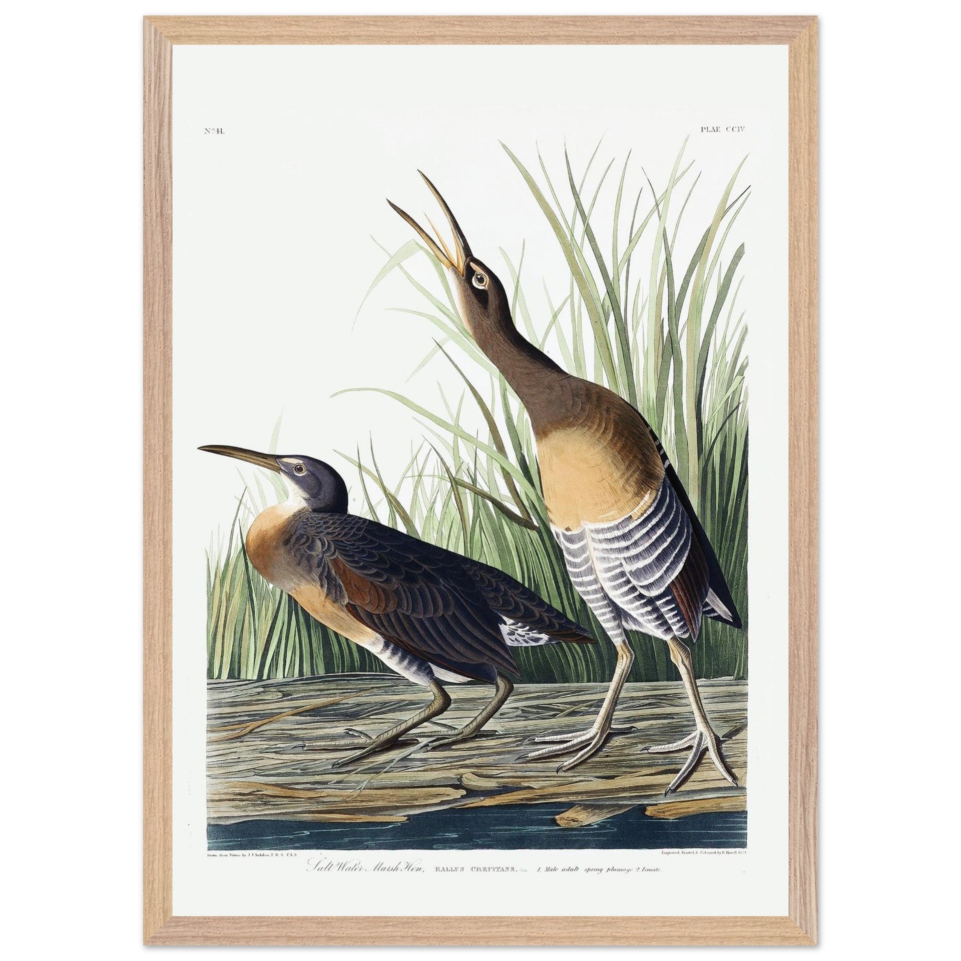 81245947-3b45-4b2a-8fa1-03ba58d324a4