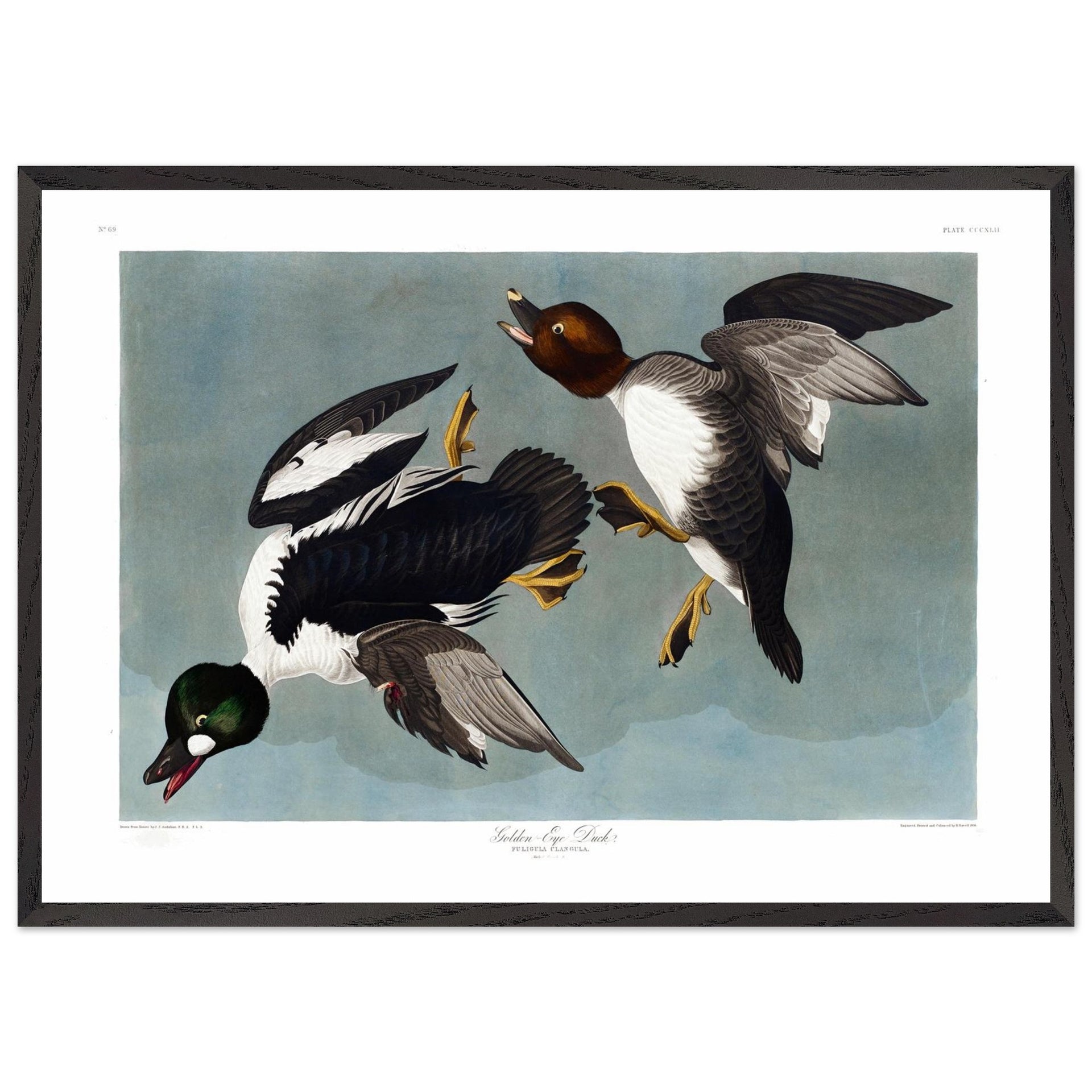 85b87806-88f5-449e-9998-e8bcb5bba1eb