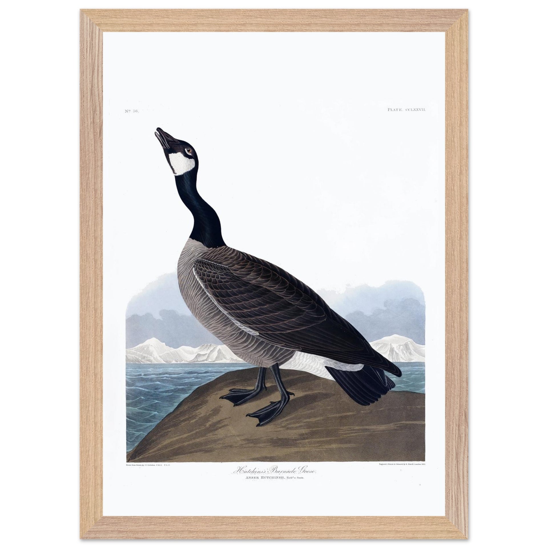 86d523bd-50f6-4a5e-8978-4b5dbfb13ea4