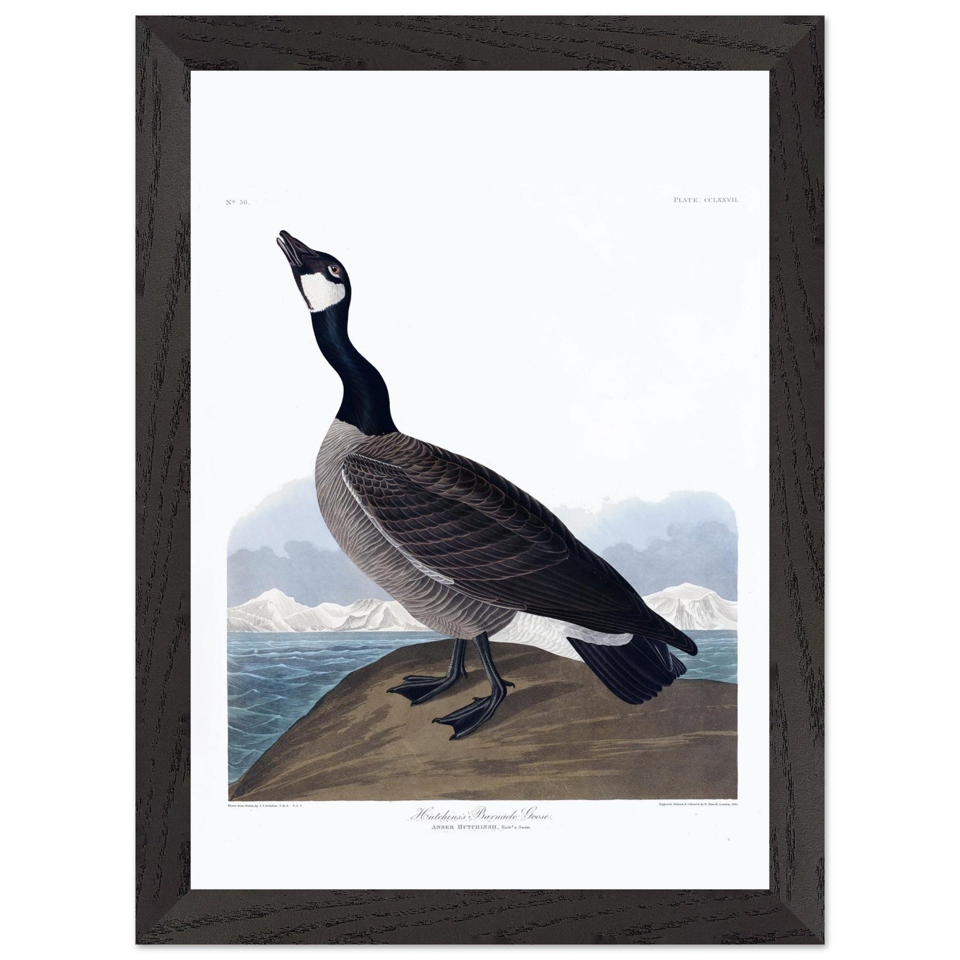 89c91f36-e269-448e-b9d5-29351d4f34ab