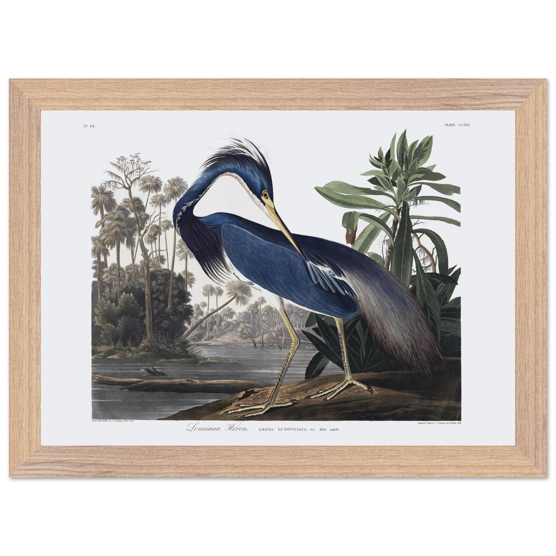 8f3efc90-abb7-4ad0-8494-f35ab0f5bc85