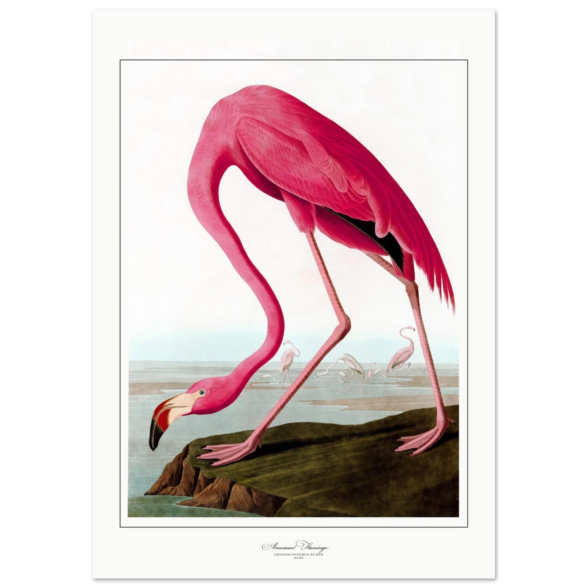 8fa014b1-395a-4dd4-9f68-1915794eba0d