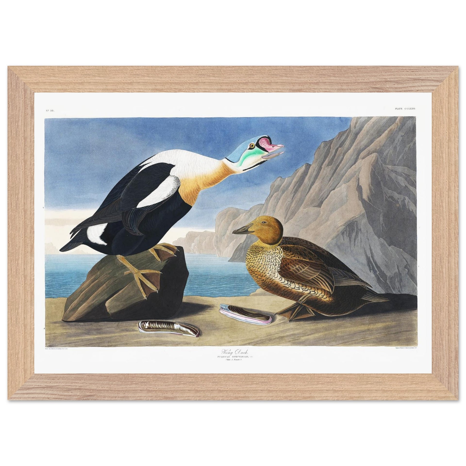 90d2f784-fc74-4715-abd3-693317ceaba2