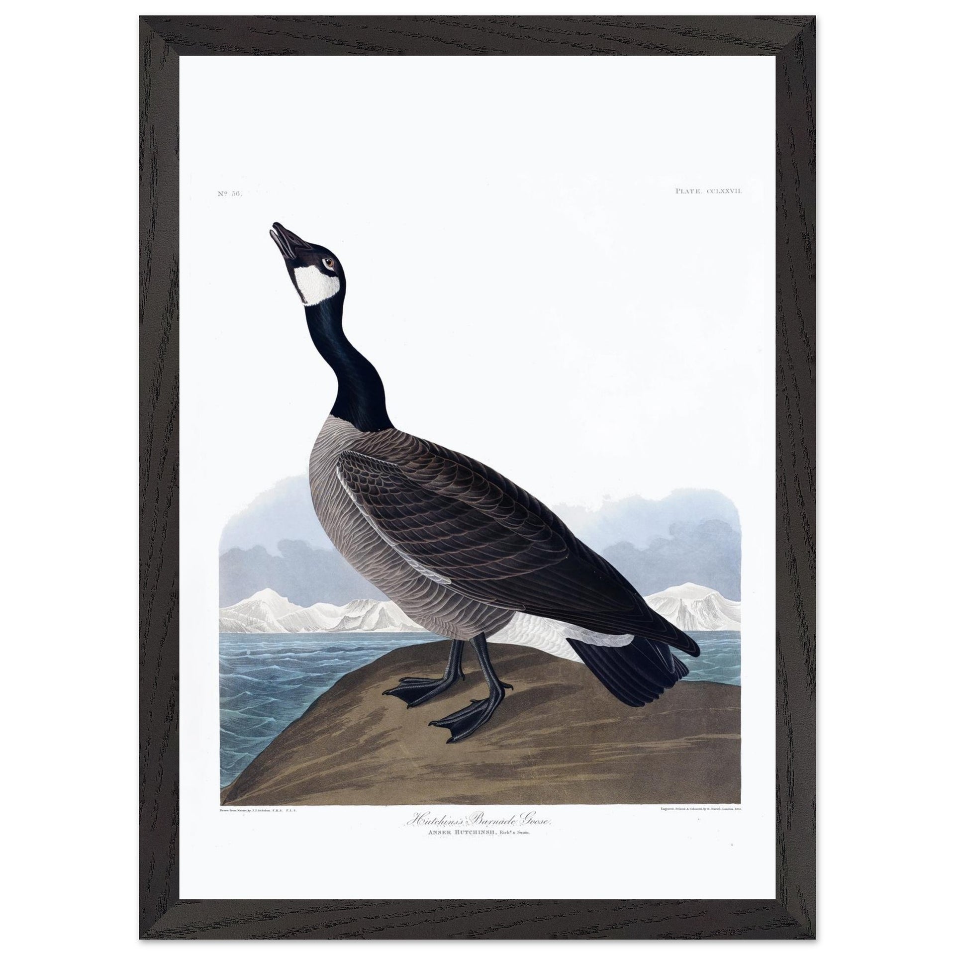 916d605e-1709-4212-9e36-d52d2c590014