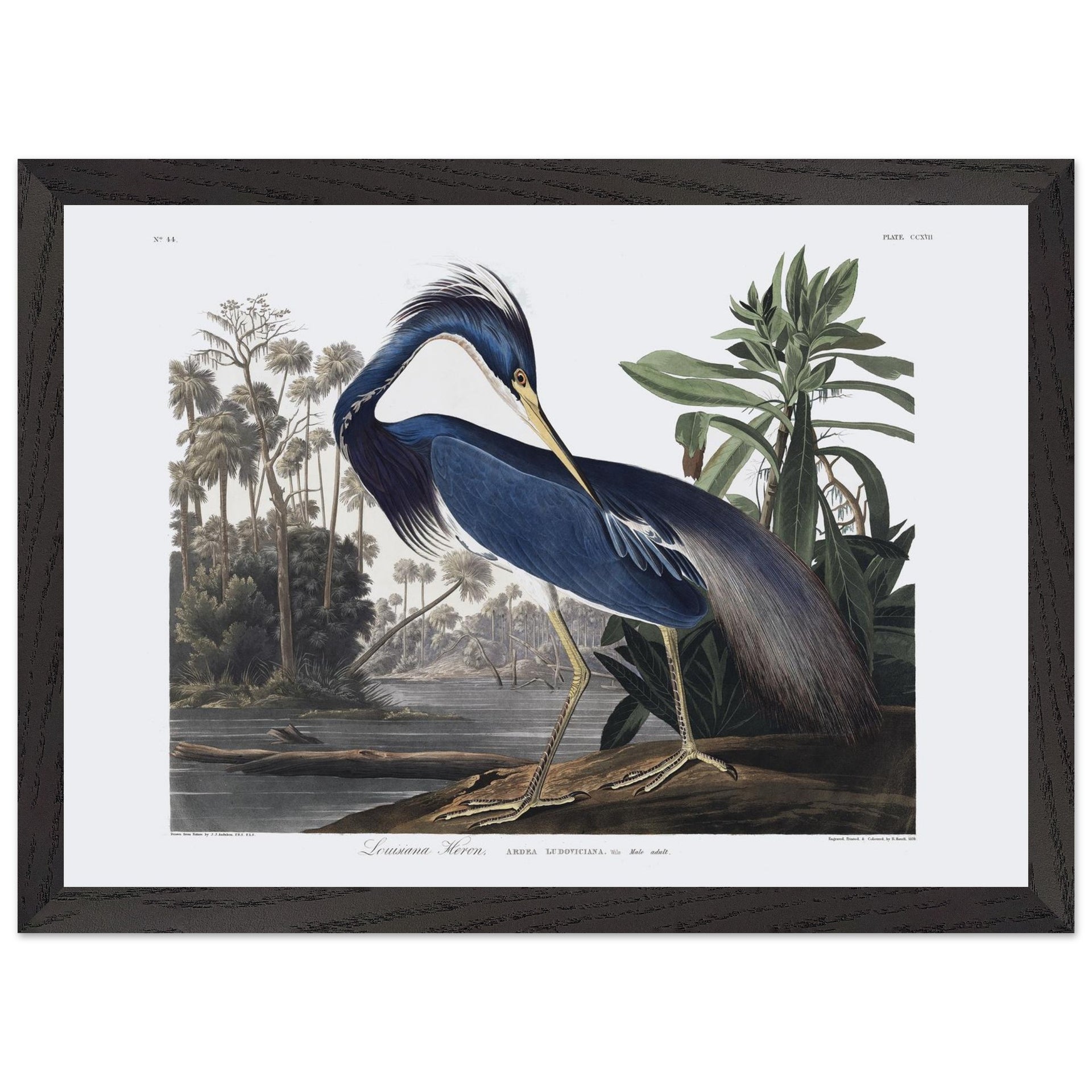 94a8c6d9-71ec-4b1d-9ddd-095a53903107