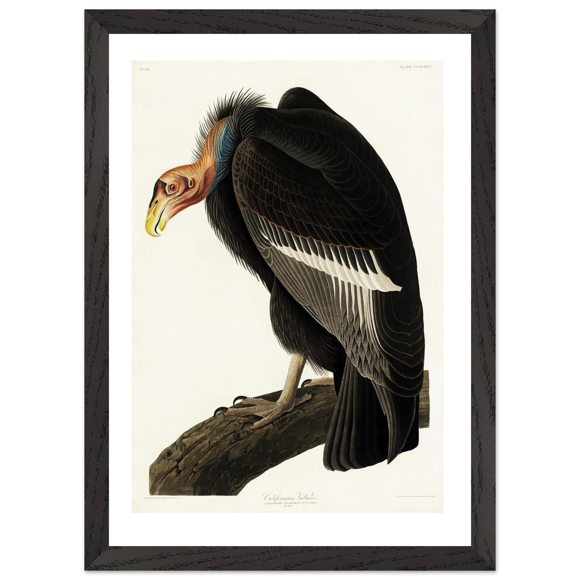 975b1908-20ef-4fdb-81a5-2eca536a4325