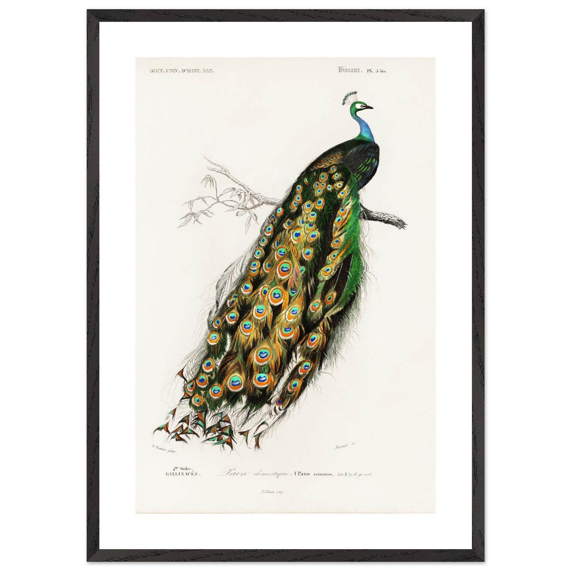 9f266f23-599f-4212-a8d6-5ac57340fe6d