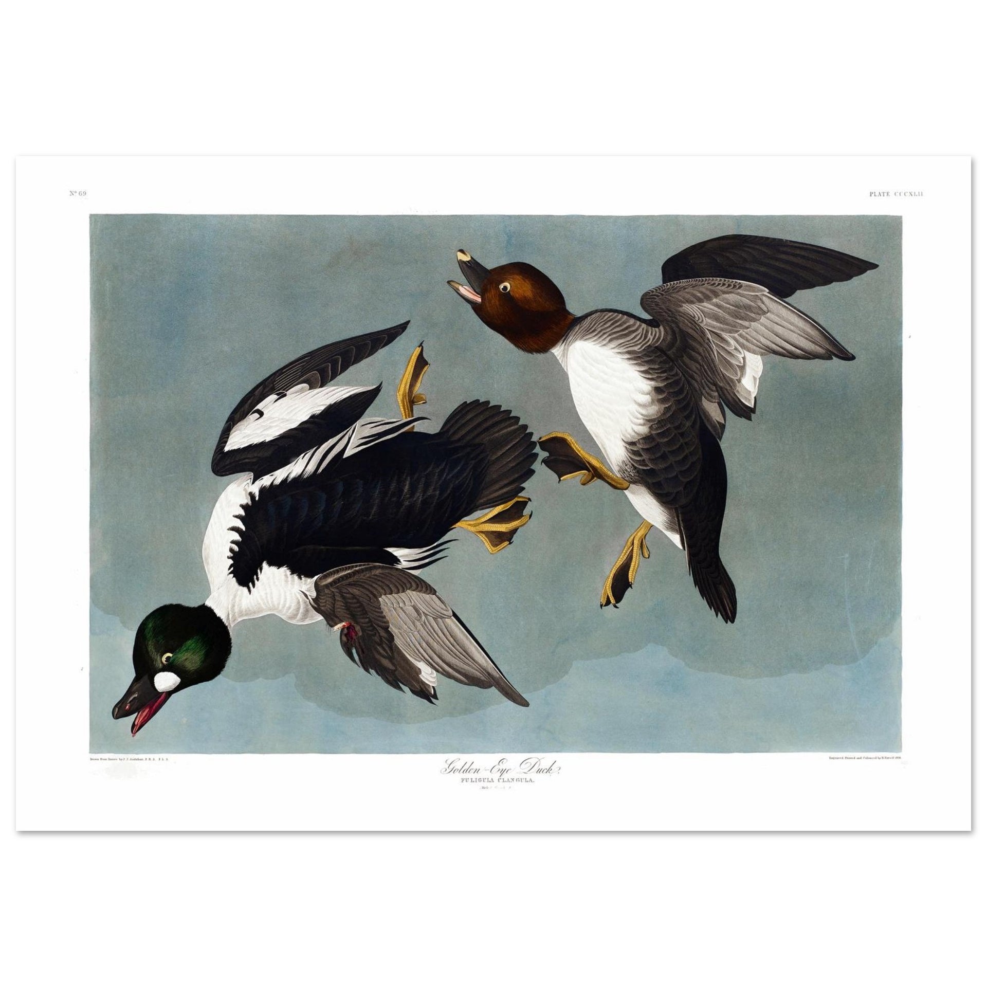 9f8a75ca-2b00-4f90-a066-d77cabaf7c23