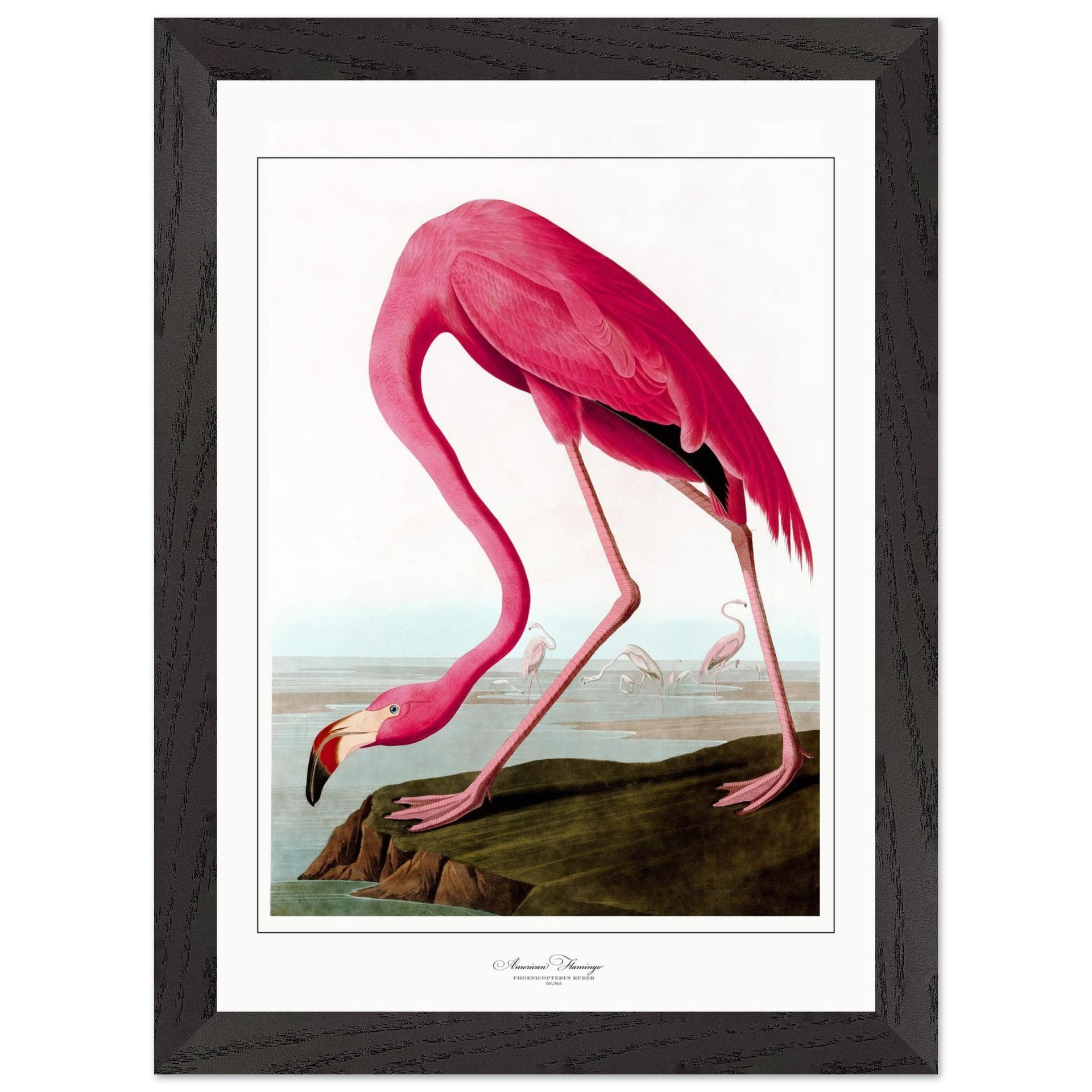 9ffc3424-6d81-4152-9da8-1093e7662c5e