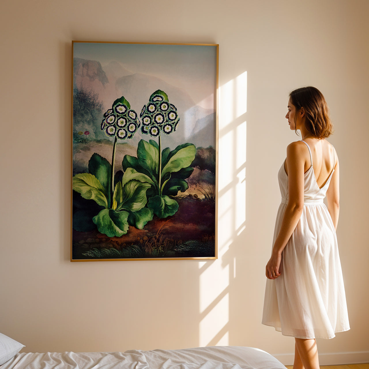 The Auriculas by Robert John Thornton, Vintage Botanical Wall Art Print, Framed Giclée Fine Art Poster