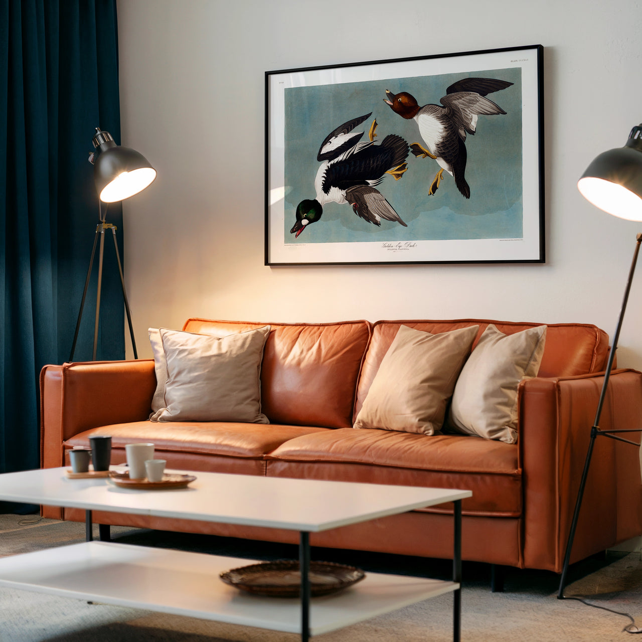 Golden-eye Duck, John James Audubon, Framed Giclée Fine Art Poster Print