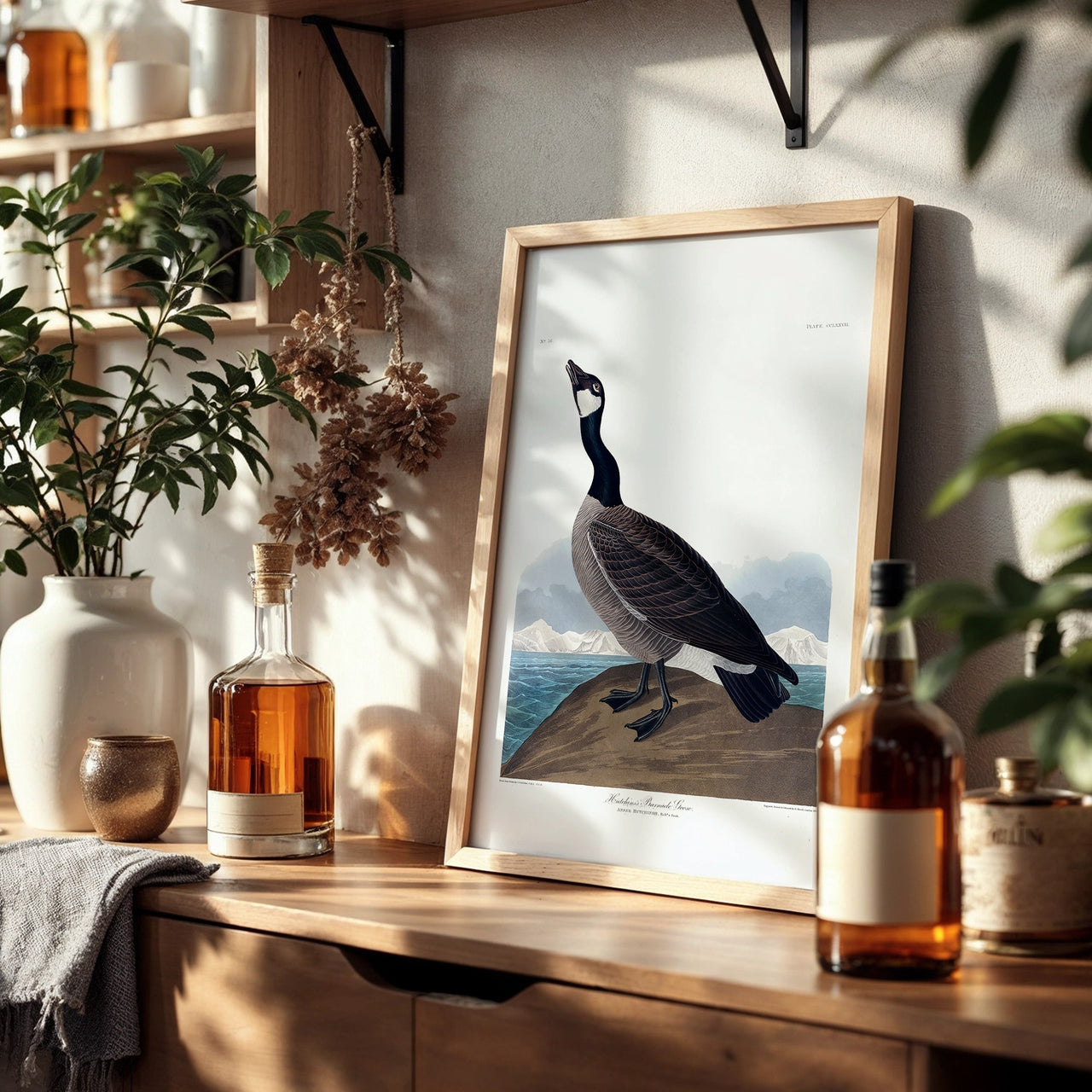 Barnacle Goose, John James Audubon, Framed Giclée Fine Art Poster Print