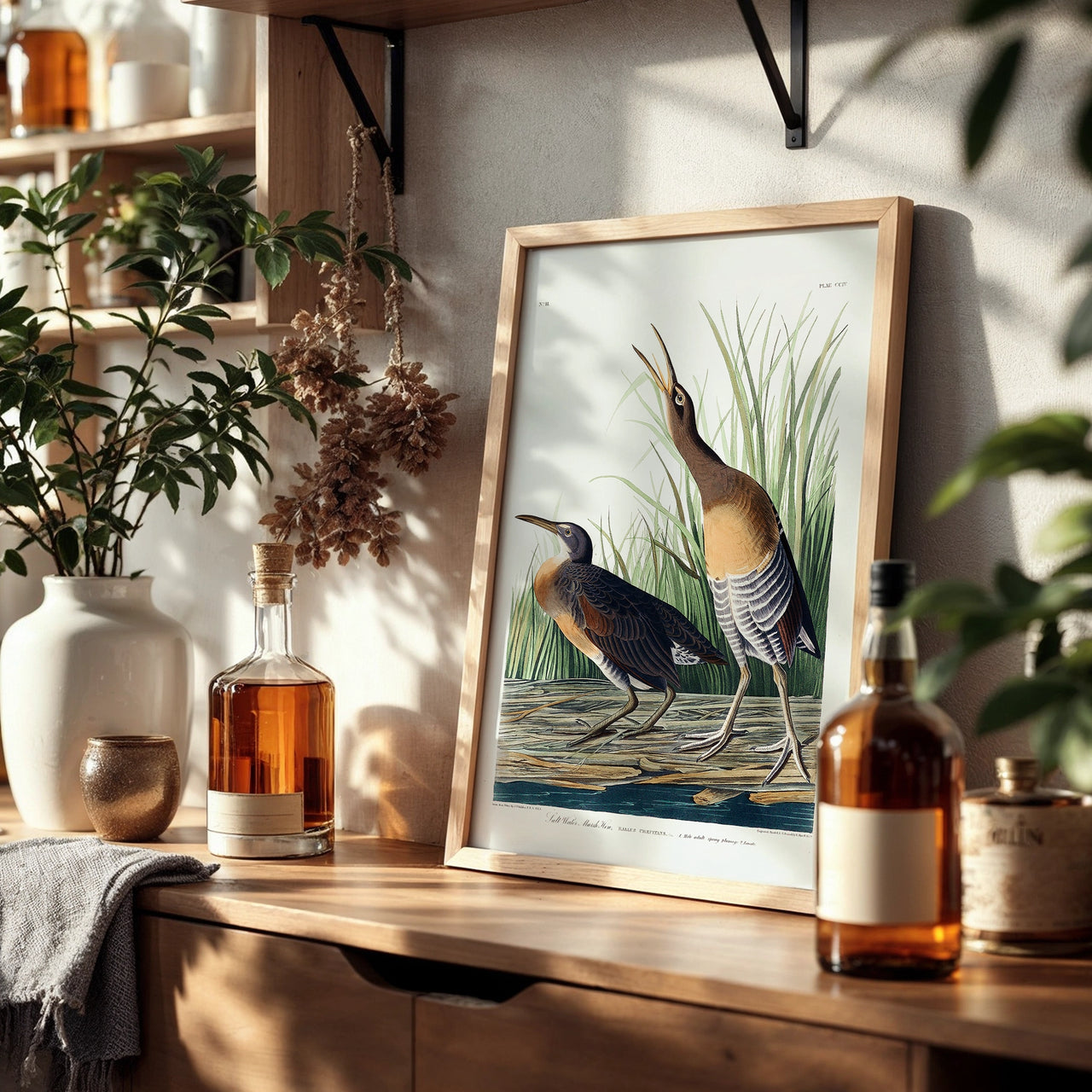 Salt Water Marsh Hen, John James Audubon, Framed Giclée Fine Art Poster Print