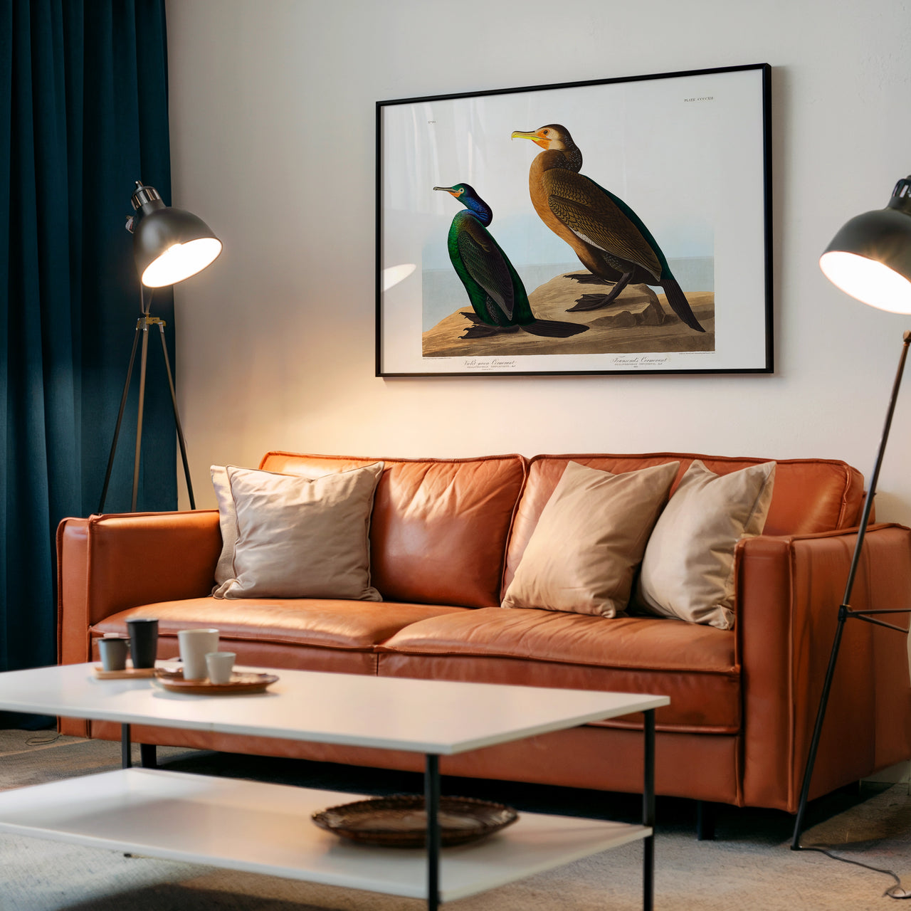 Violet-green Cormorant and Townsend's Cormorant, John James Audubon, Framed Giclée Fine Art Poster Print