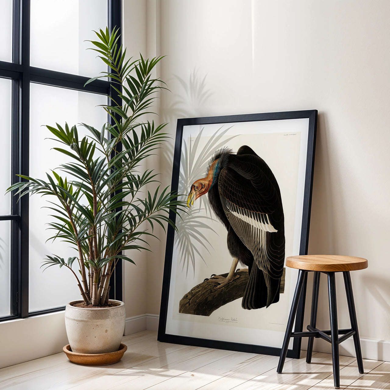 Californian Vulture, John James Audubon, Framed Giclée Fine Art Poster Print