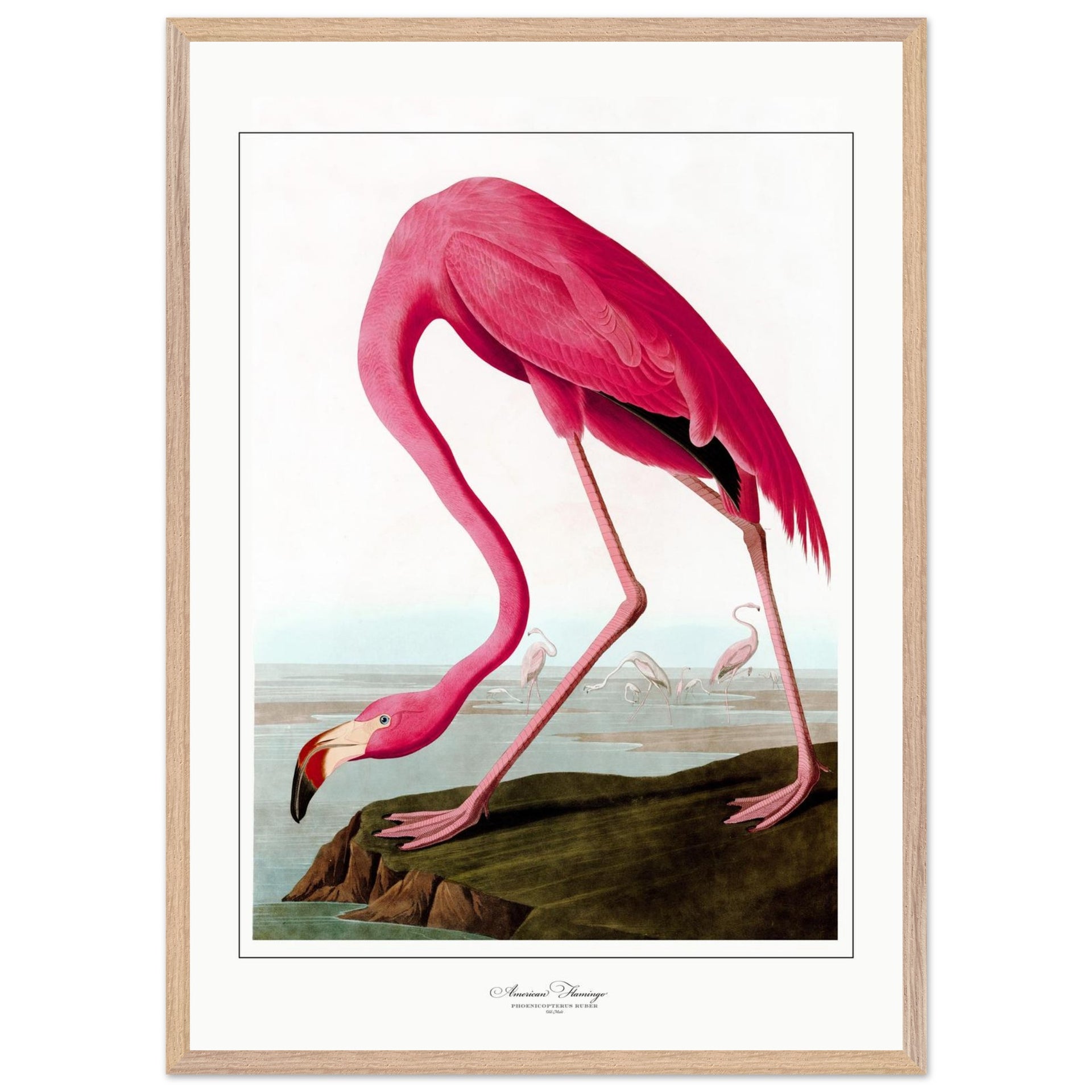 a280b59b-0882-4a61-8935-2f9d97564c38